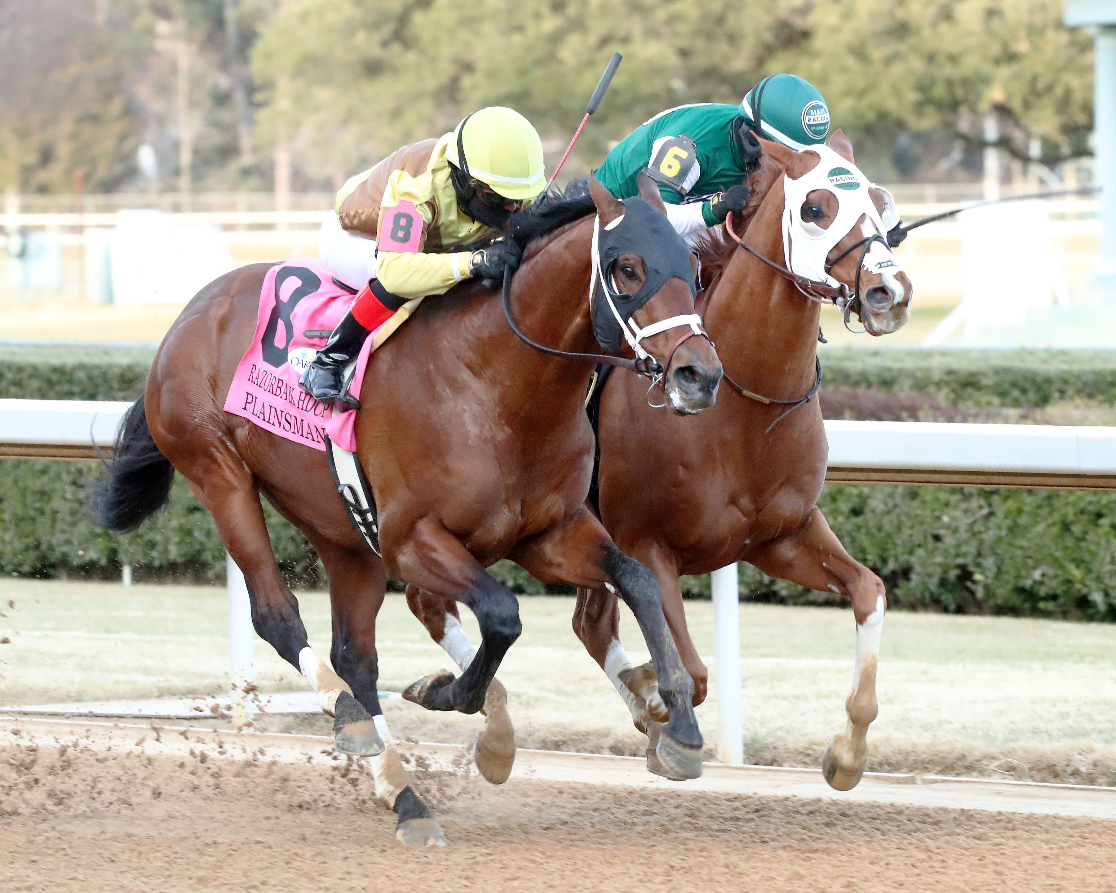 Plainsman (left) wins the Razorback 2-12-2022