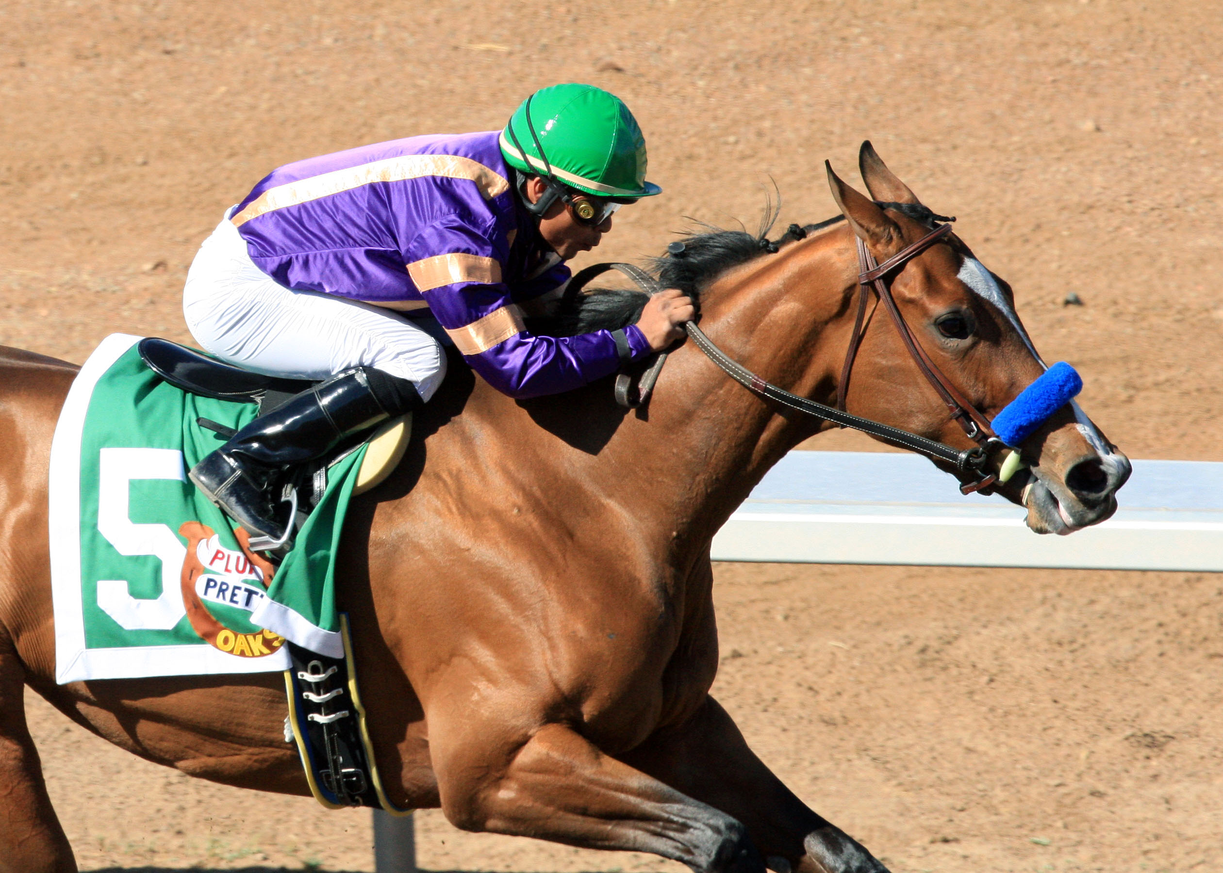 Plum Pretty Sunland Park Oaks