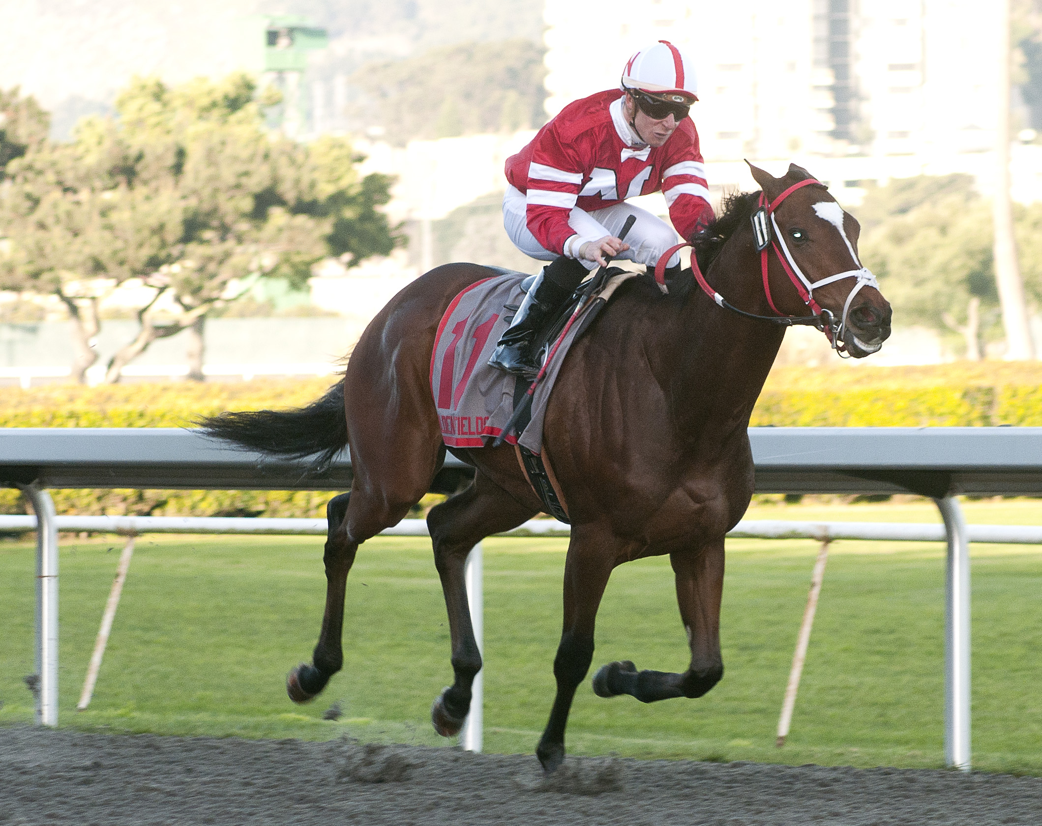 Positive Response 1-15-2011