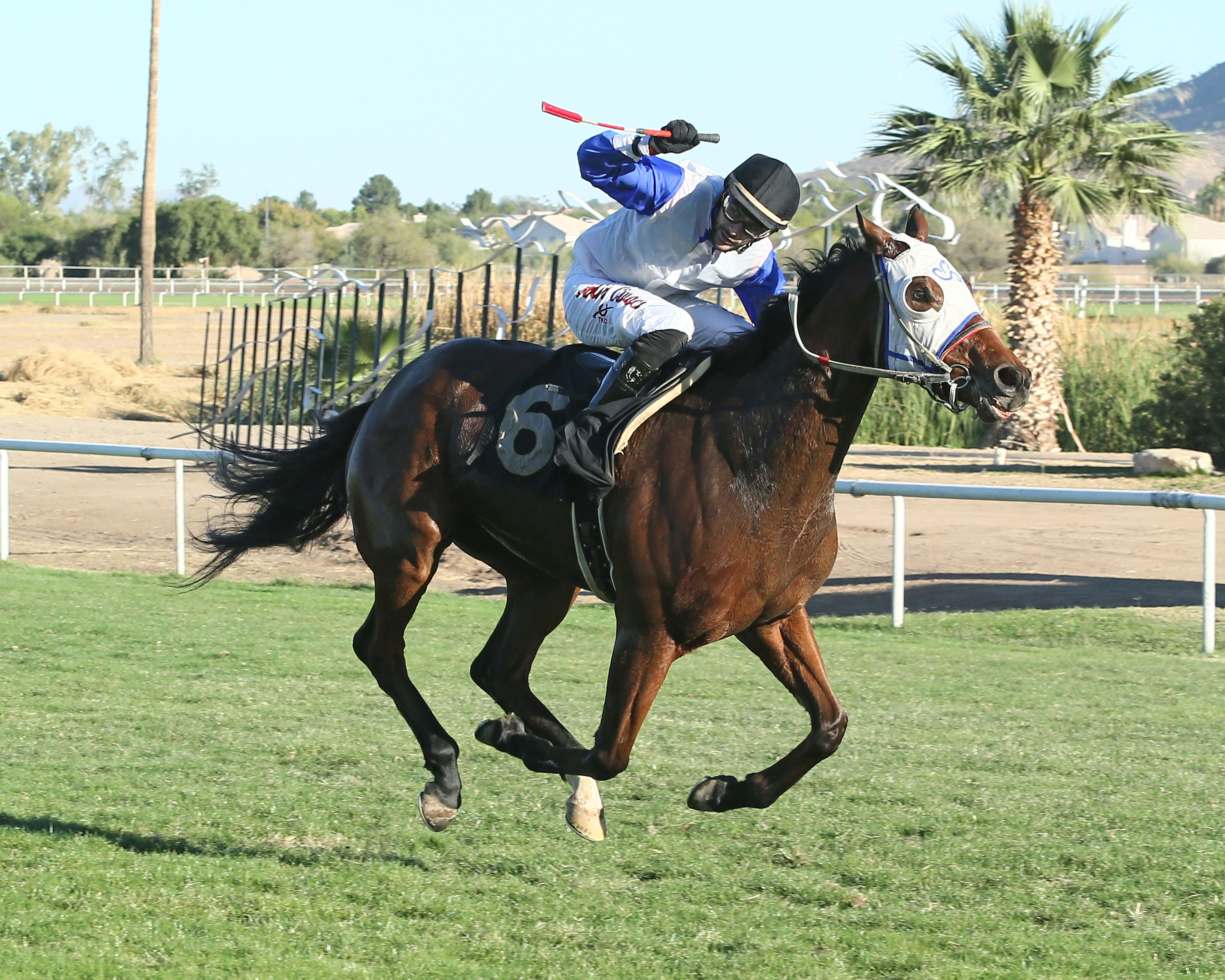 Power Corrupt wins the 2017 Walter R. Cluer Memorial Stakes