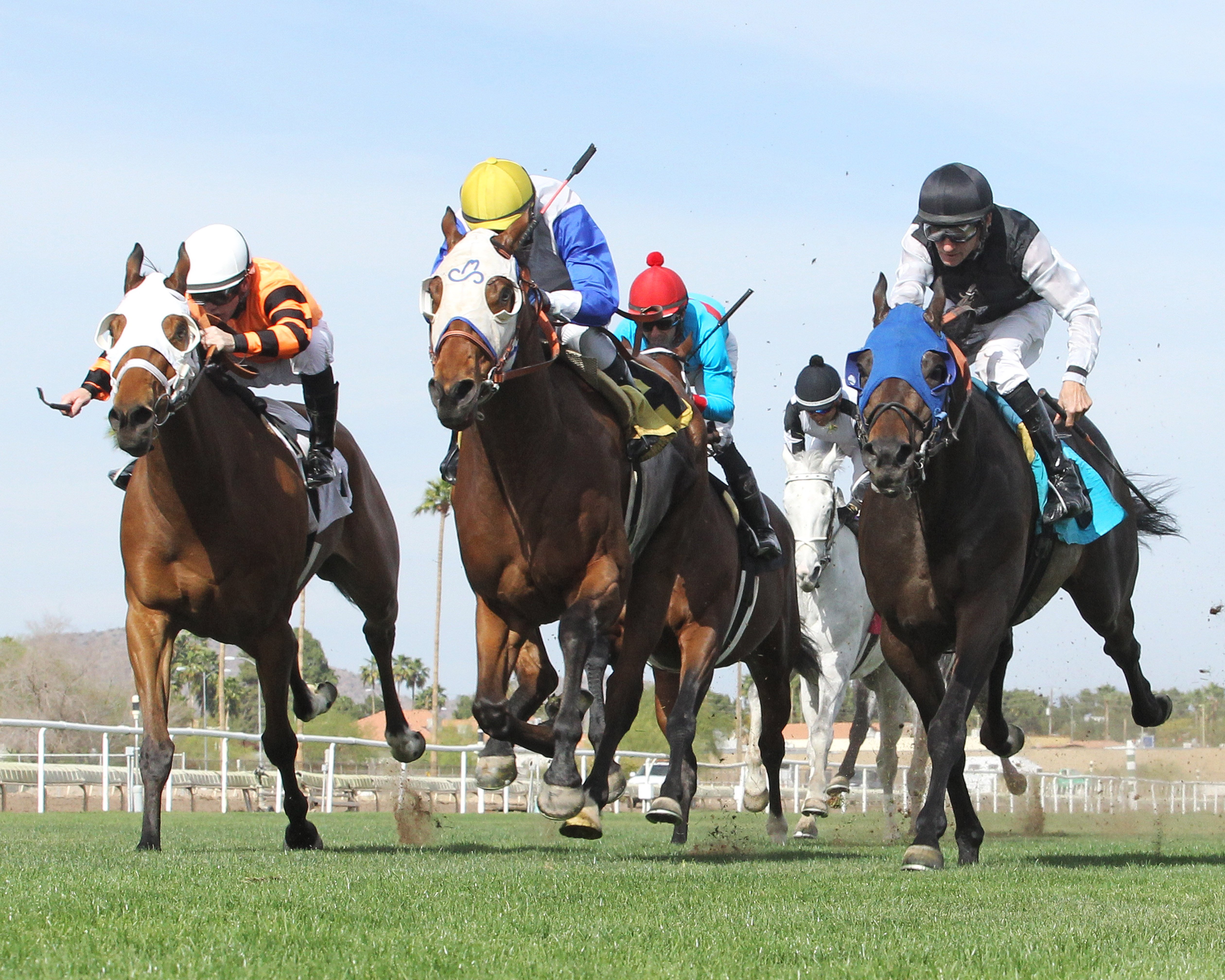 Power Corrupt (center) wins the 2018 Wildcat Handicap