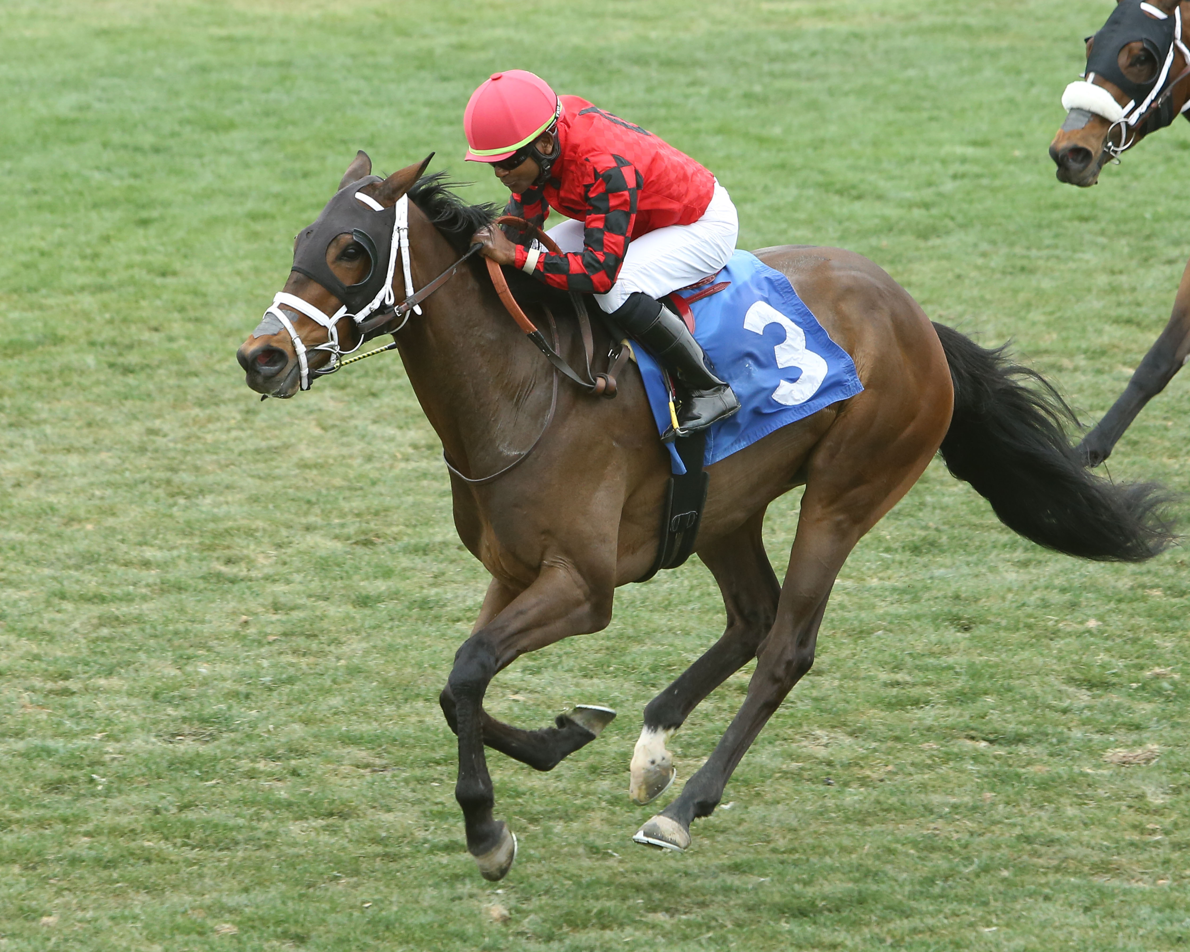 Primo Touch wins the 2018 Tempe Handicap
