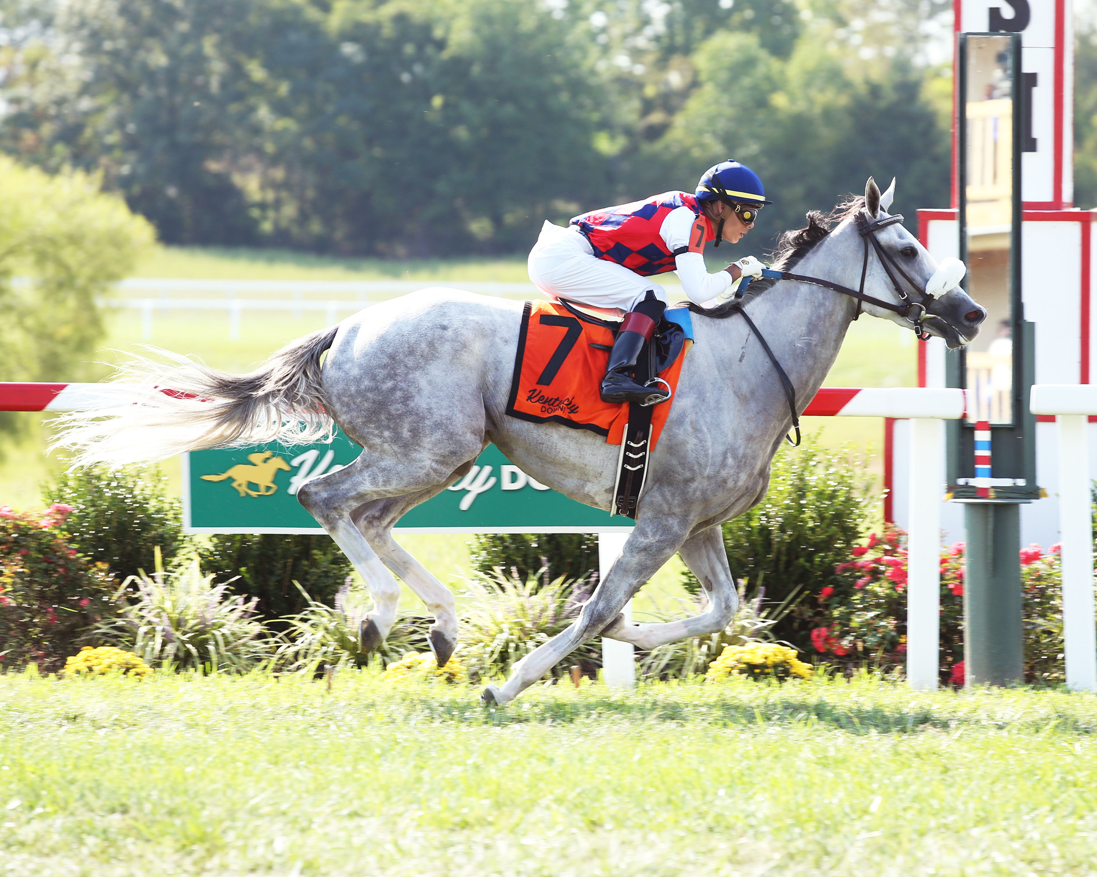 Princesa Carolina wins the 2019 Dueling Grounds Oaks