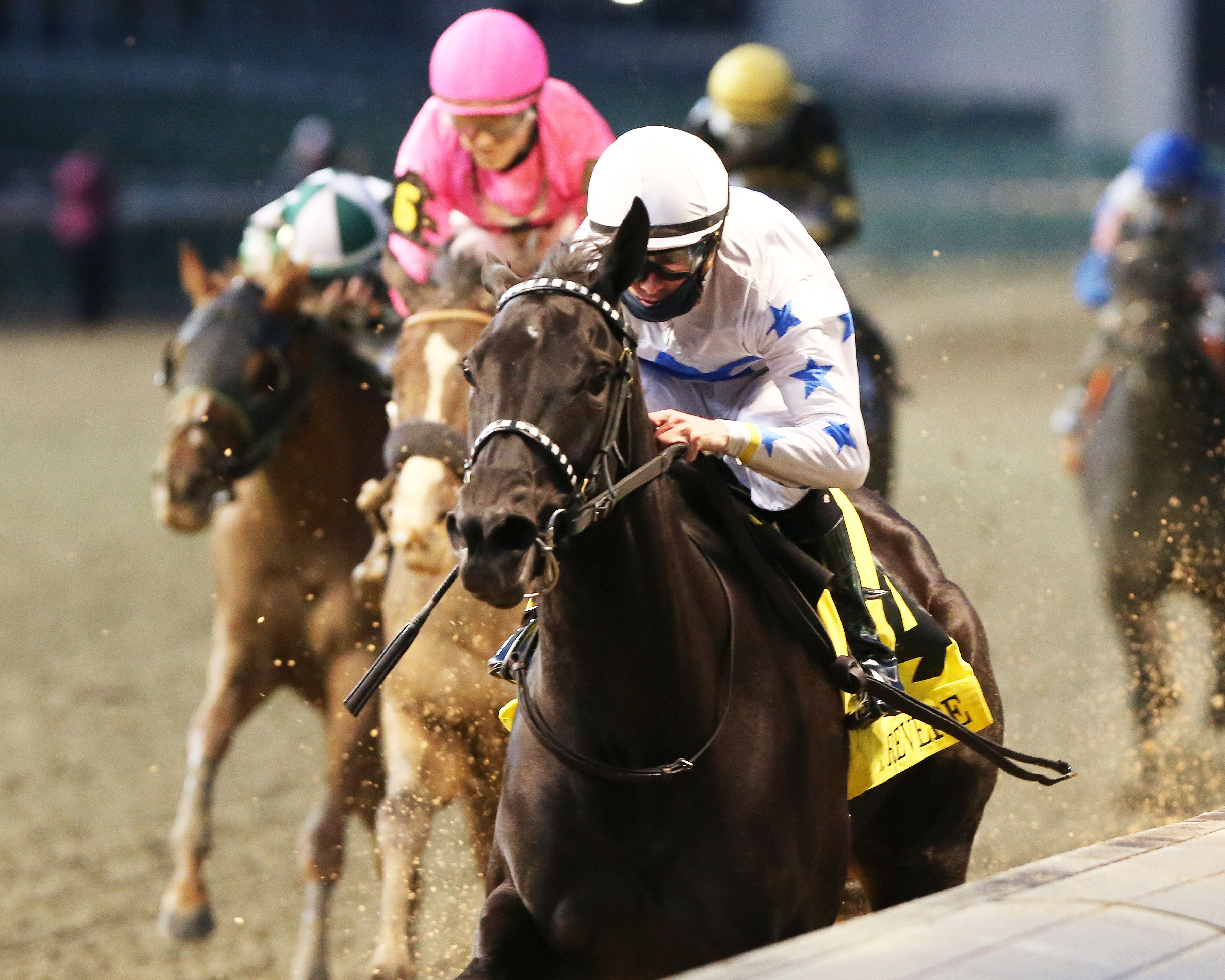 Princess Grace wins Mrs. Revere 11-14-2020
