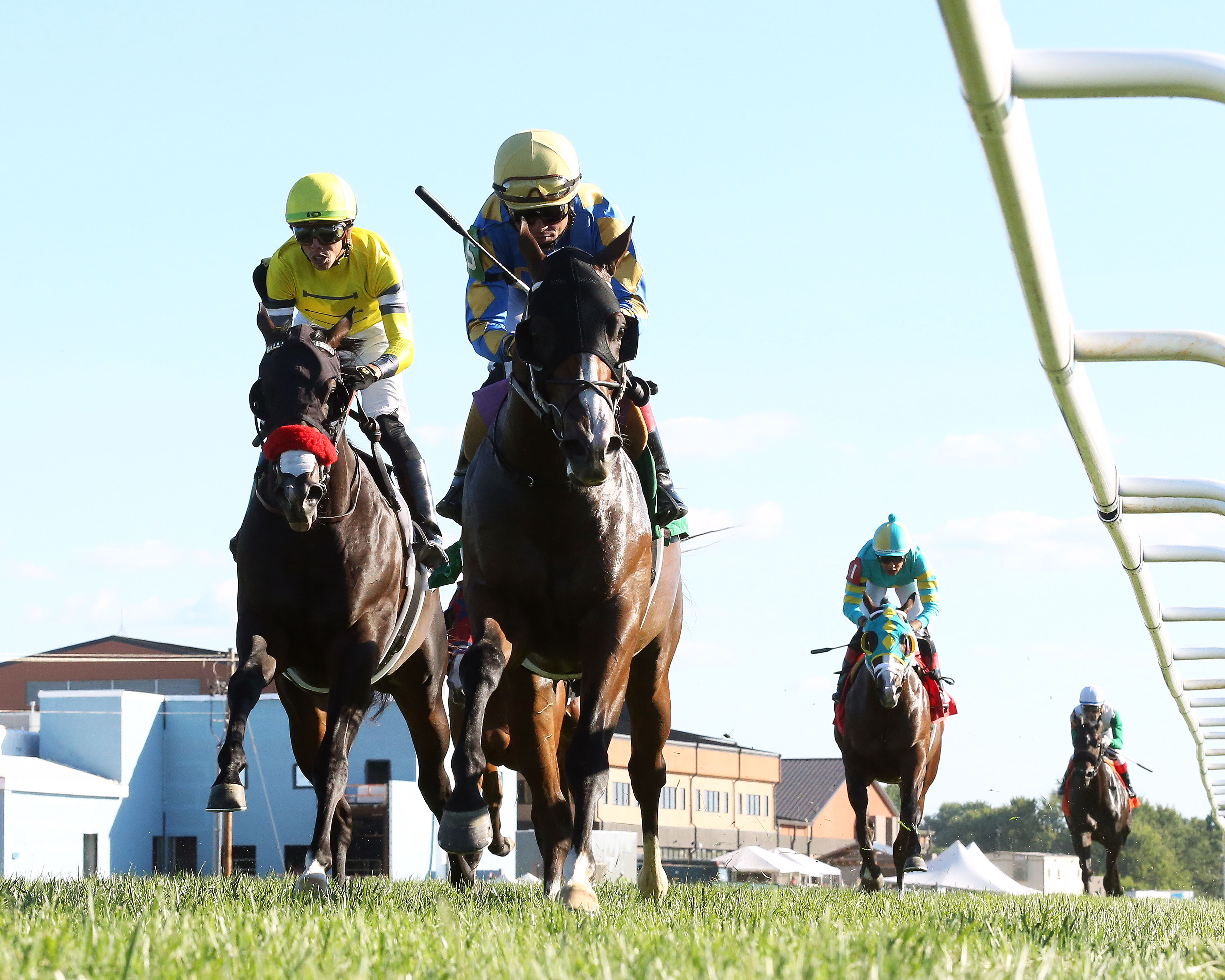 Private Creed - Juvenile Sprint S. 2022
