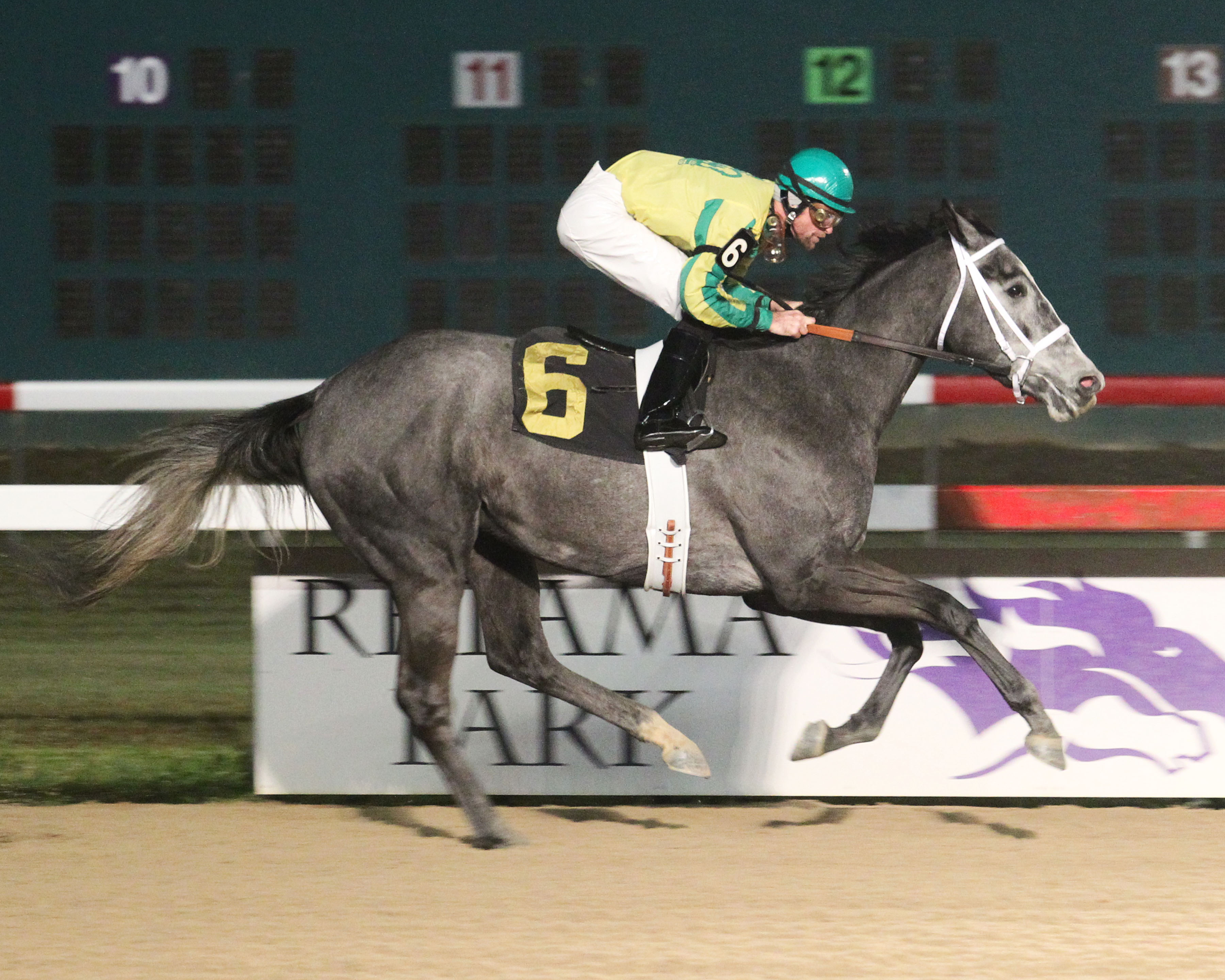 Promise Me Silver wins 2014 Darby's Daughter