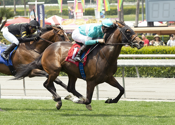 Proud Pedro wins a May 25 maiden race at Santa Anita