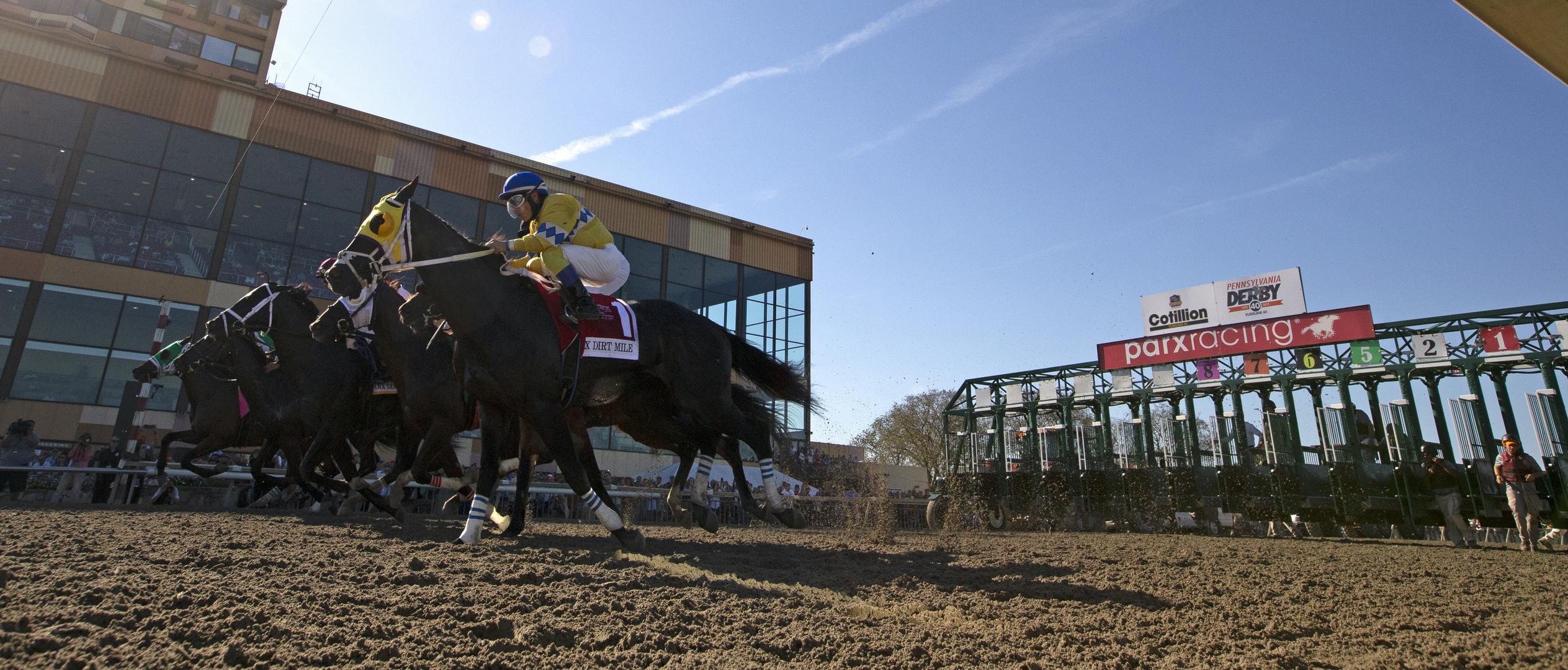 Parx gate shot.2.9-21-19