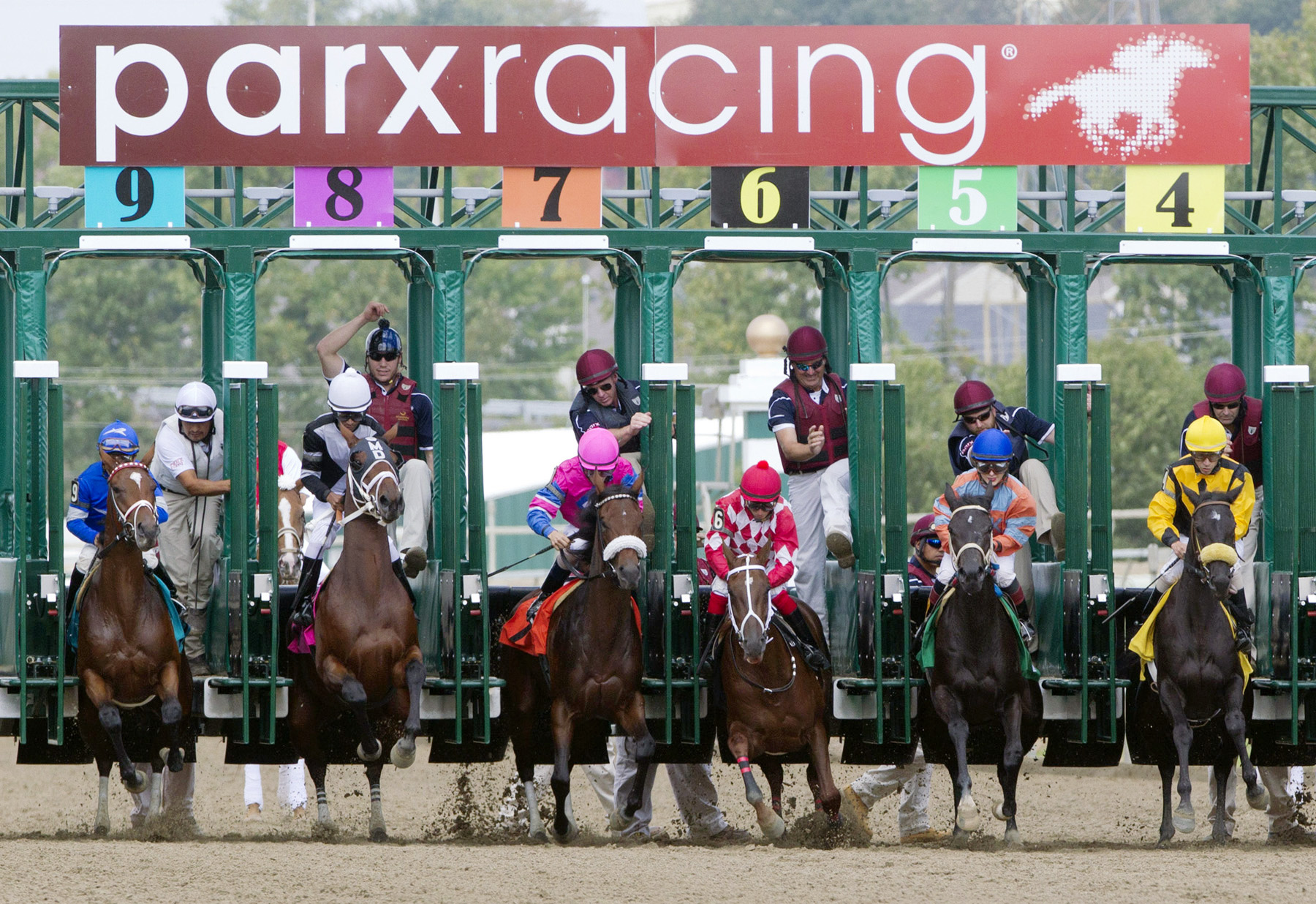 Parx Racing starting gate