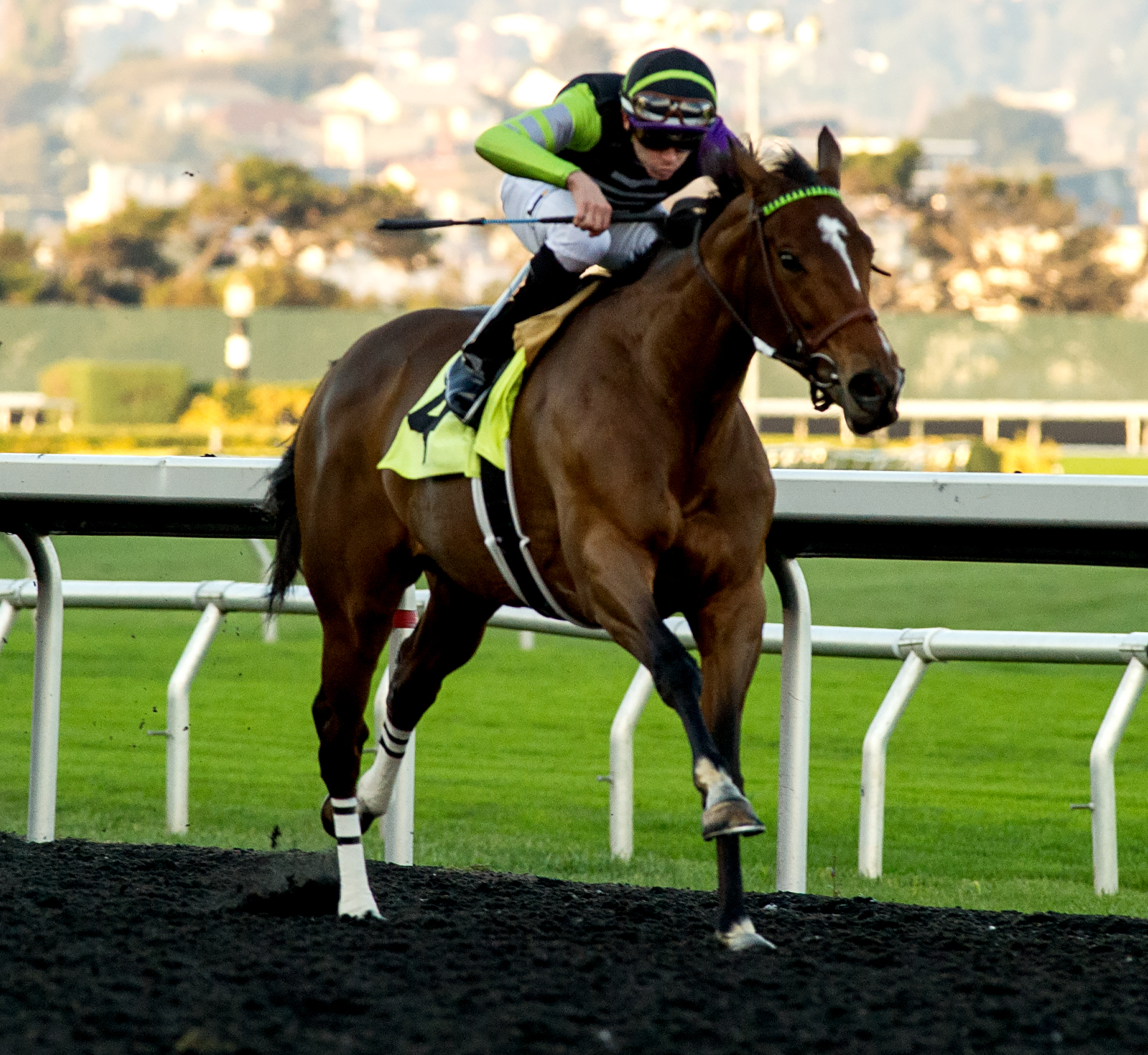 Pyscho Sister wins the second division of the 2018 Miss America Stakes