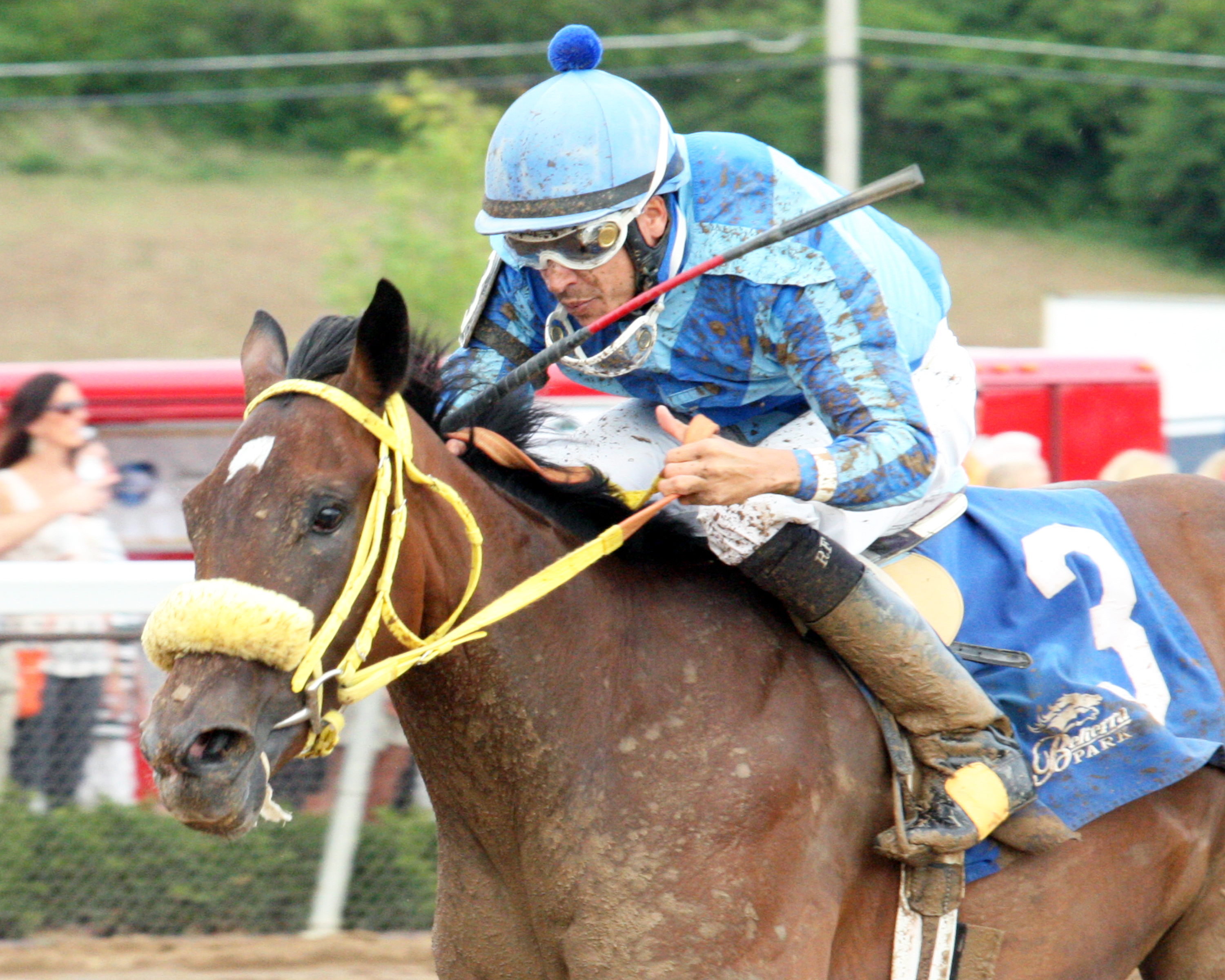 Pyrite Blue Magna wins 2014 Tah Dah