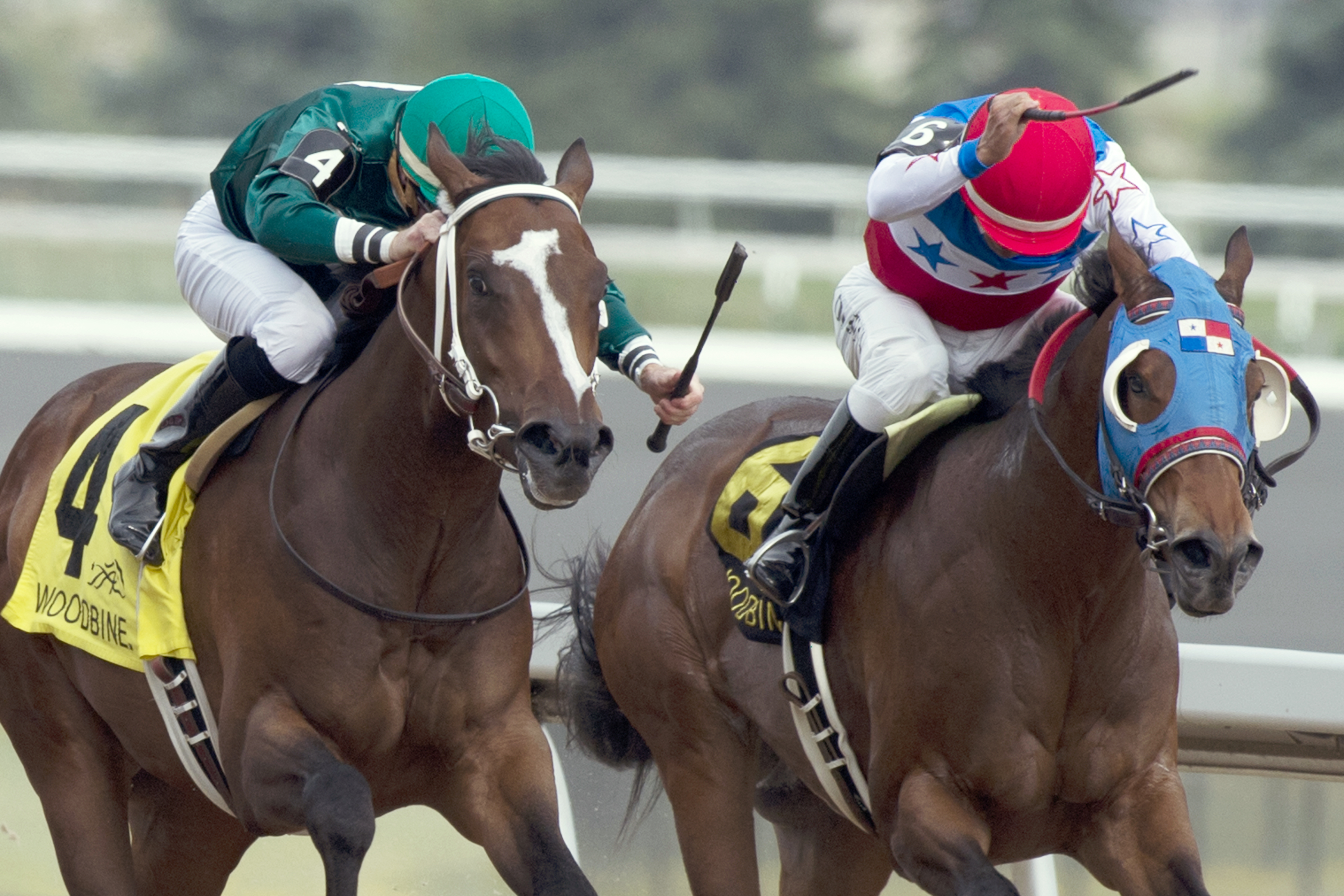 Pachi Cruze wins the Frost King Stakes