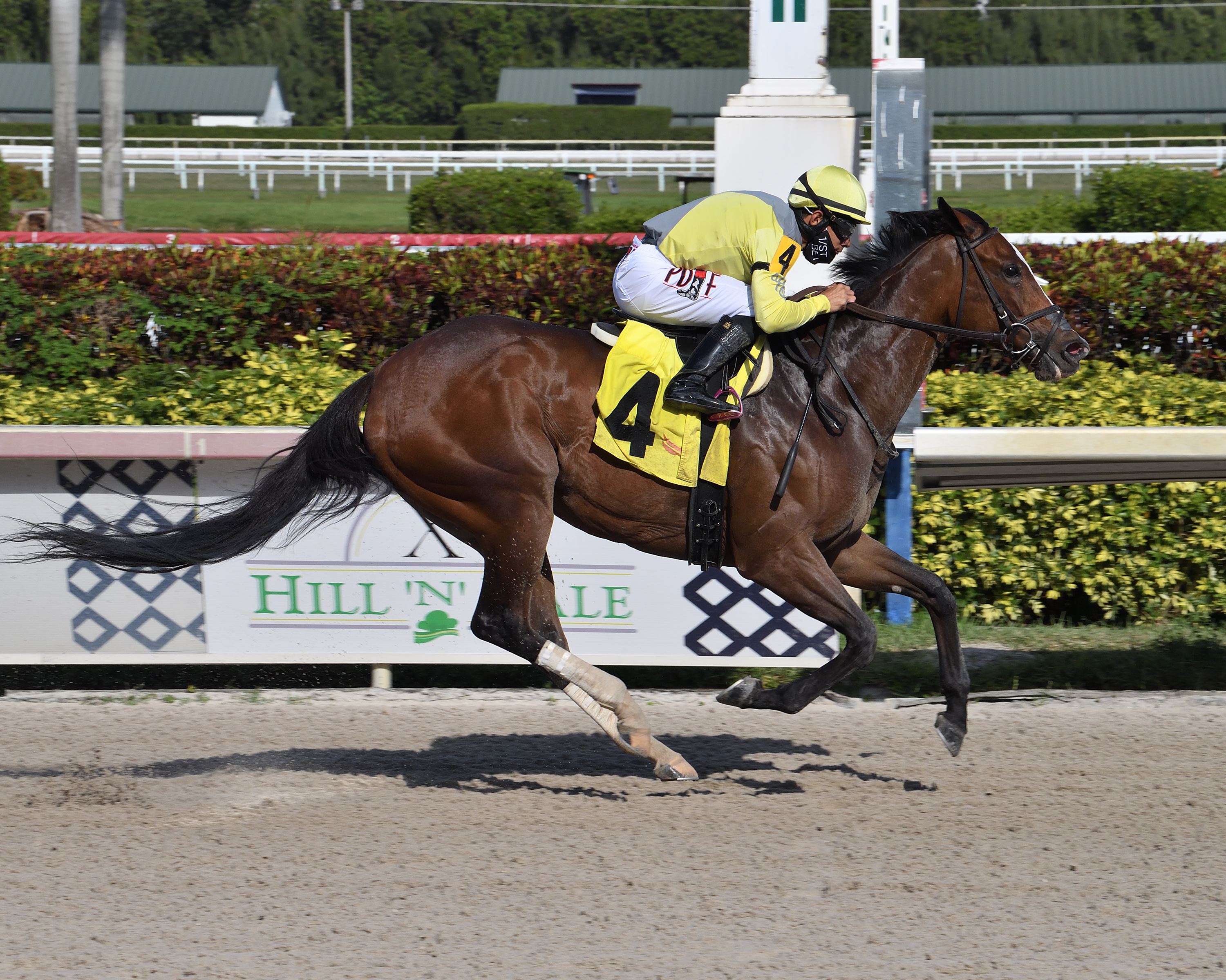 Pacific Gale wins Hurricane Bertie 3-20-2021
