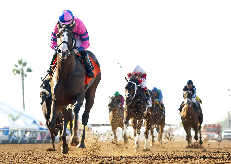 Pacific Heat 10-29-2015