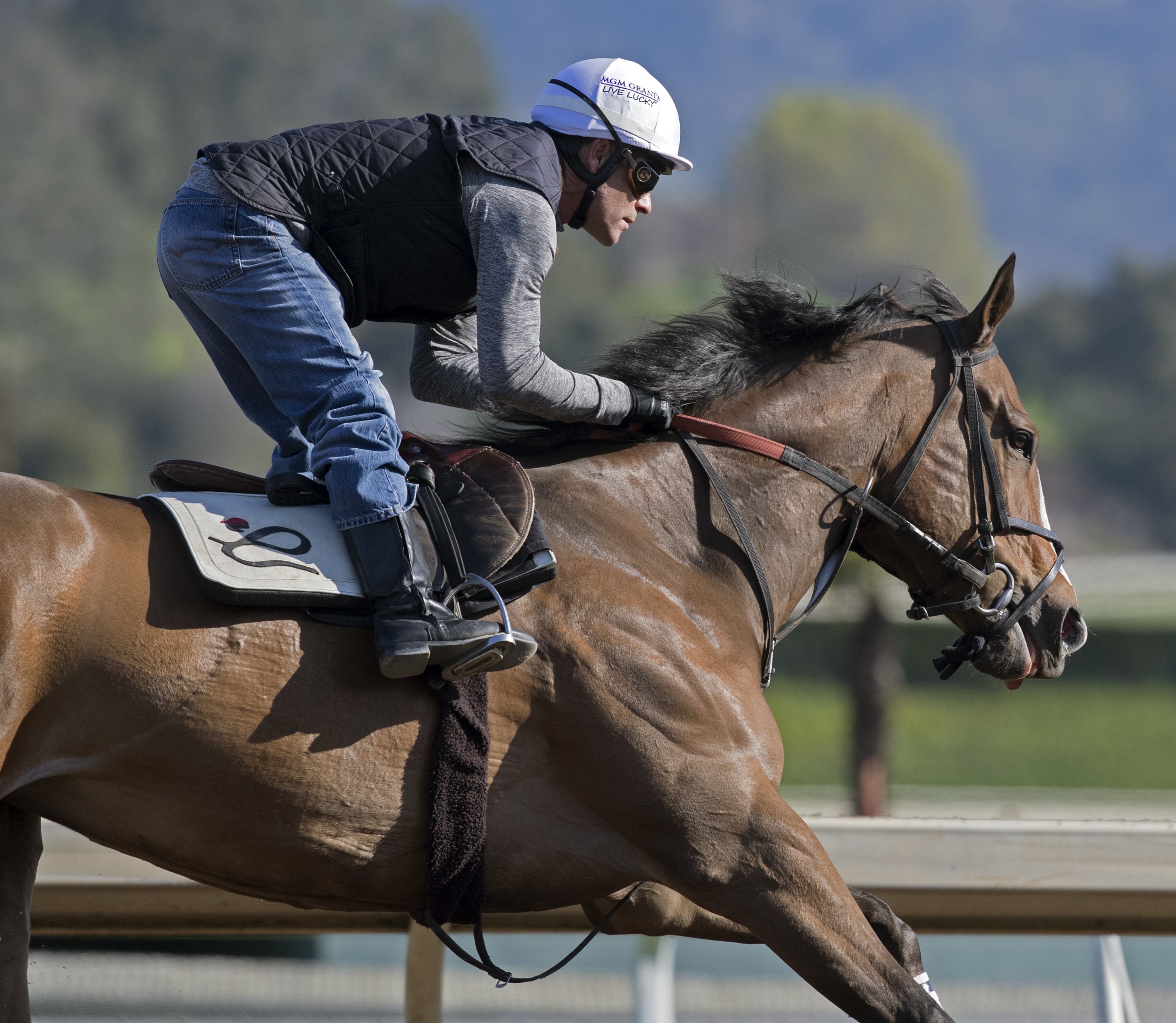 Pacific Heat trains at Santa Anita on Feb. 26