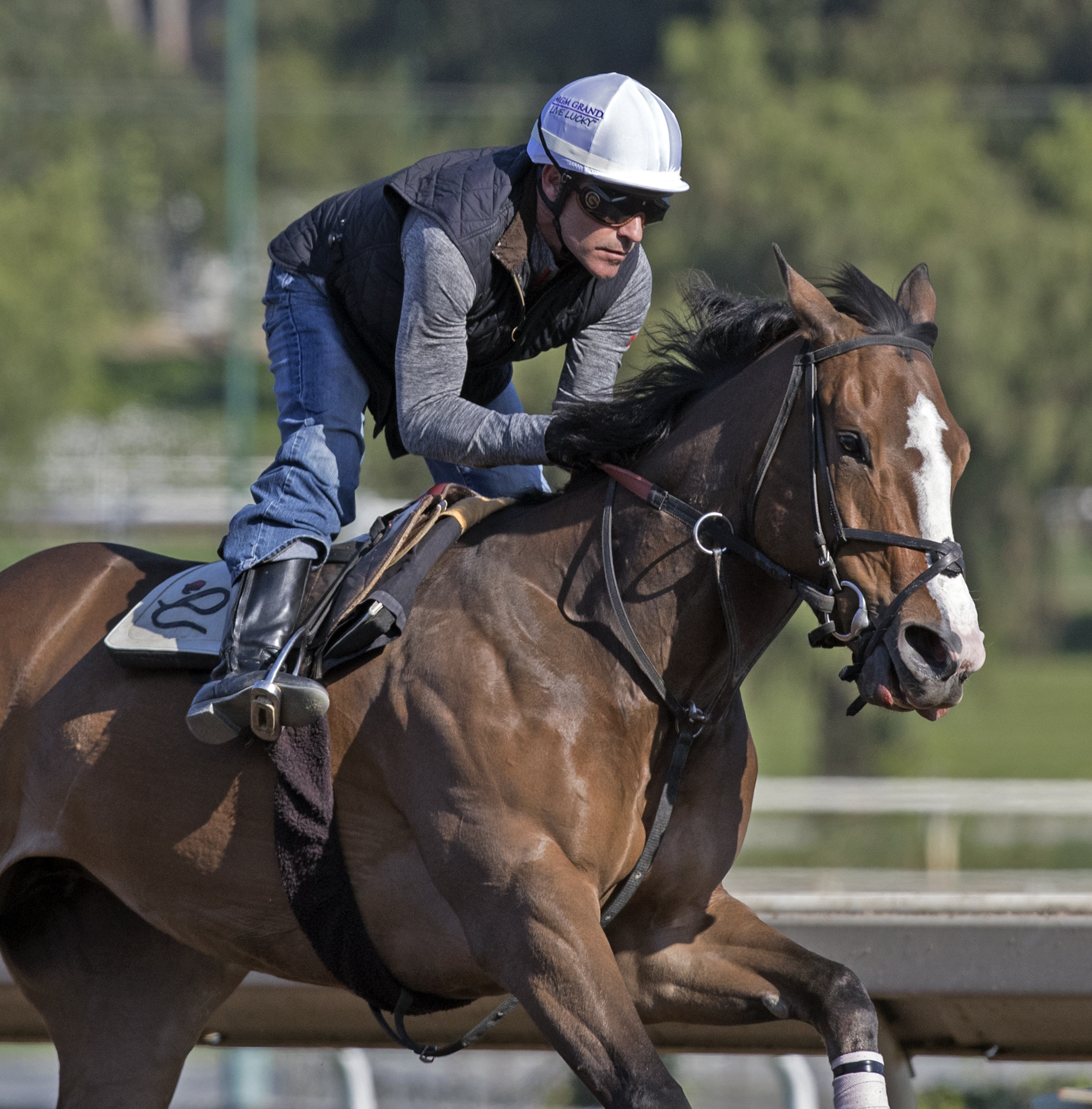 Pacific Heat trains at Santa Anita on Feb. 26