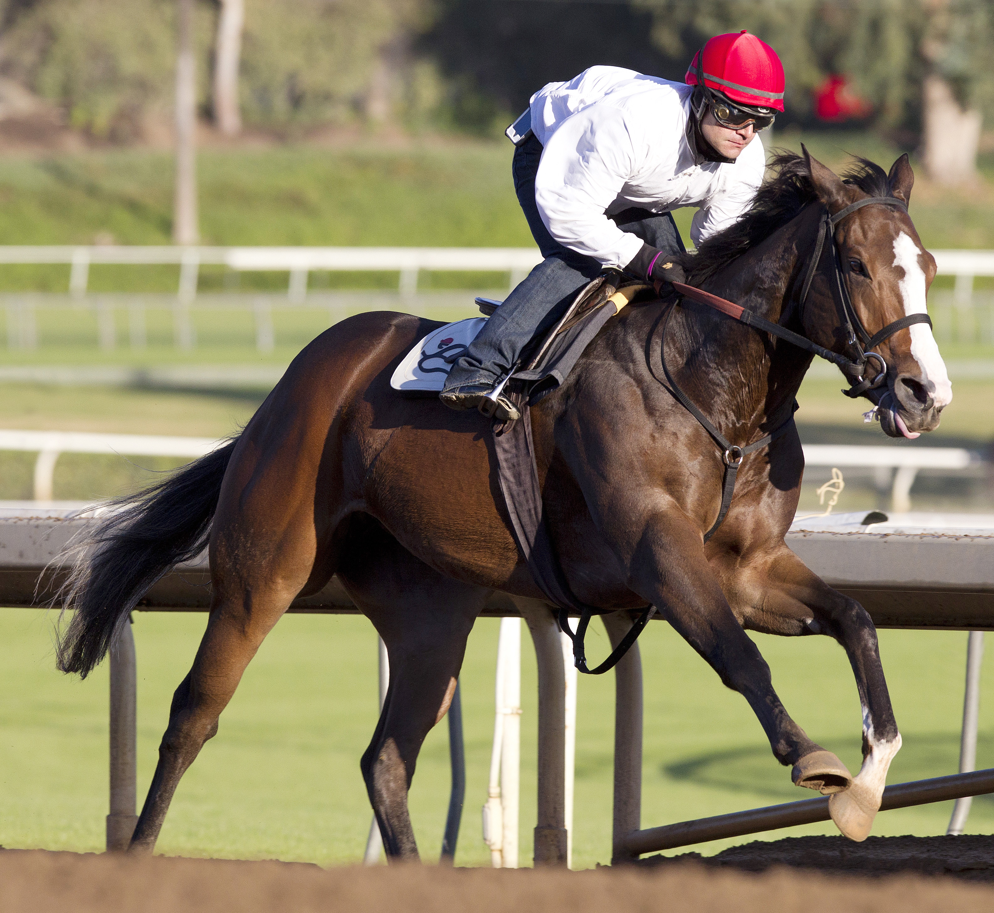 Pacific Heat at Santa Anita on Dec. 5
