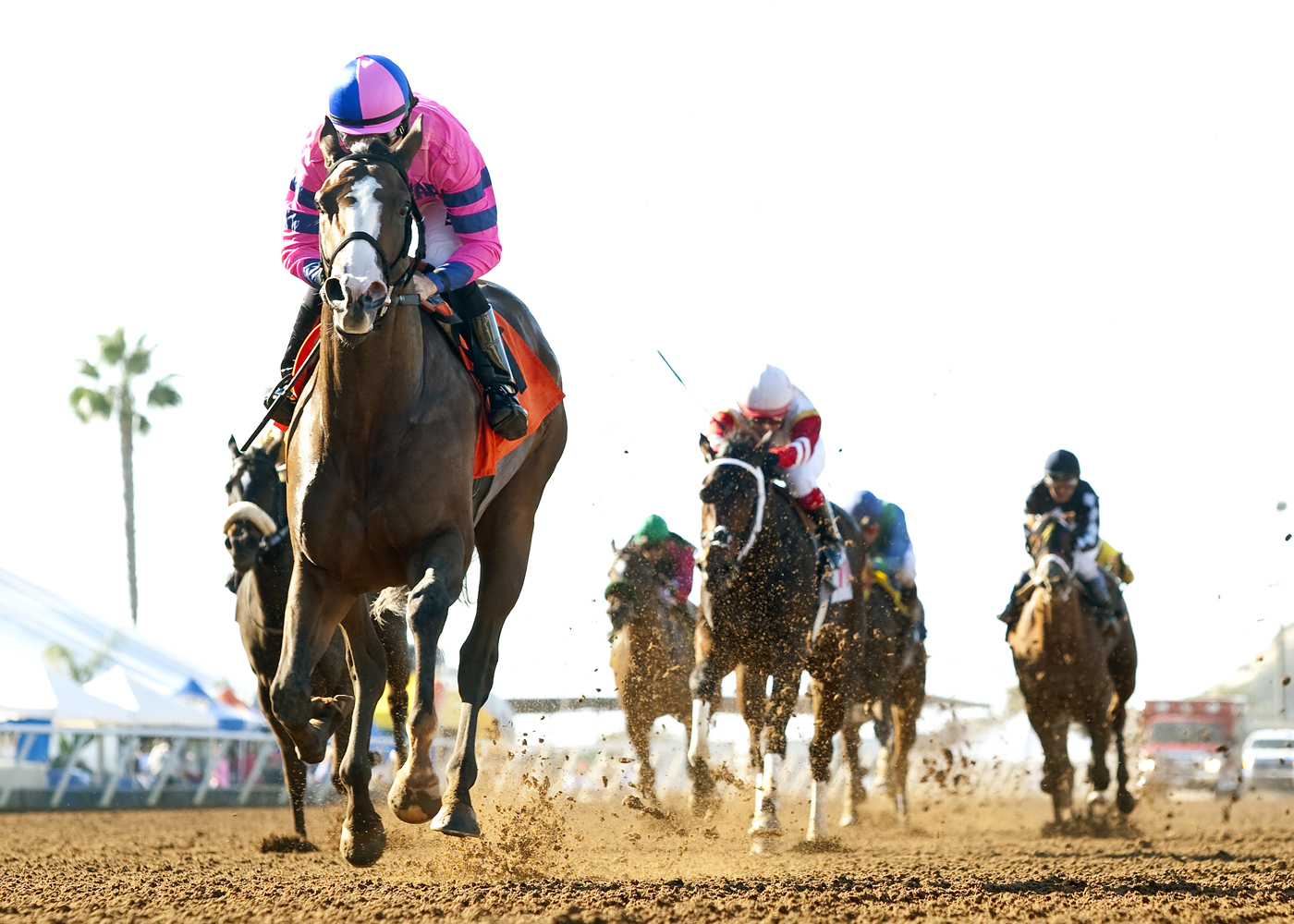 Pacific Heat wins the Golden State Juvenile Fillies