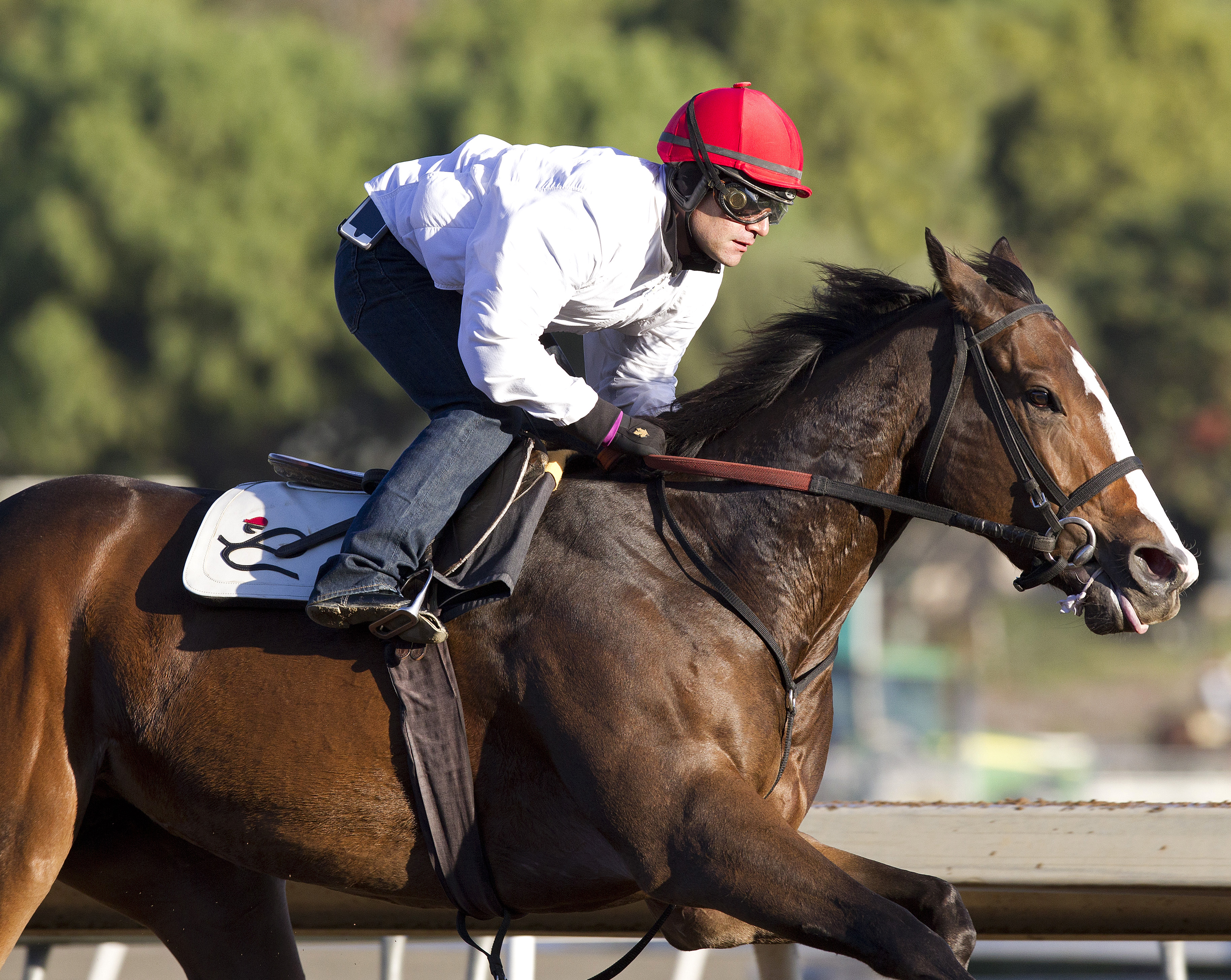 Pacific Heat at Santa Anita on Dec. 5