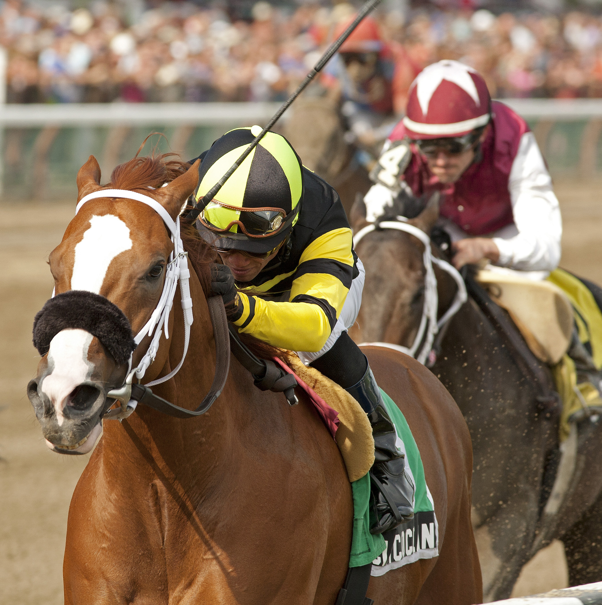 Pacific Ocean/James Marvin Stakes