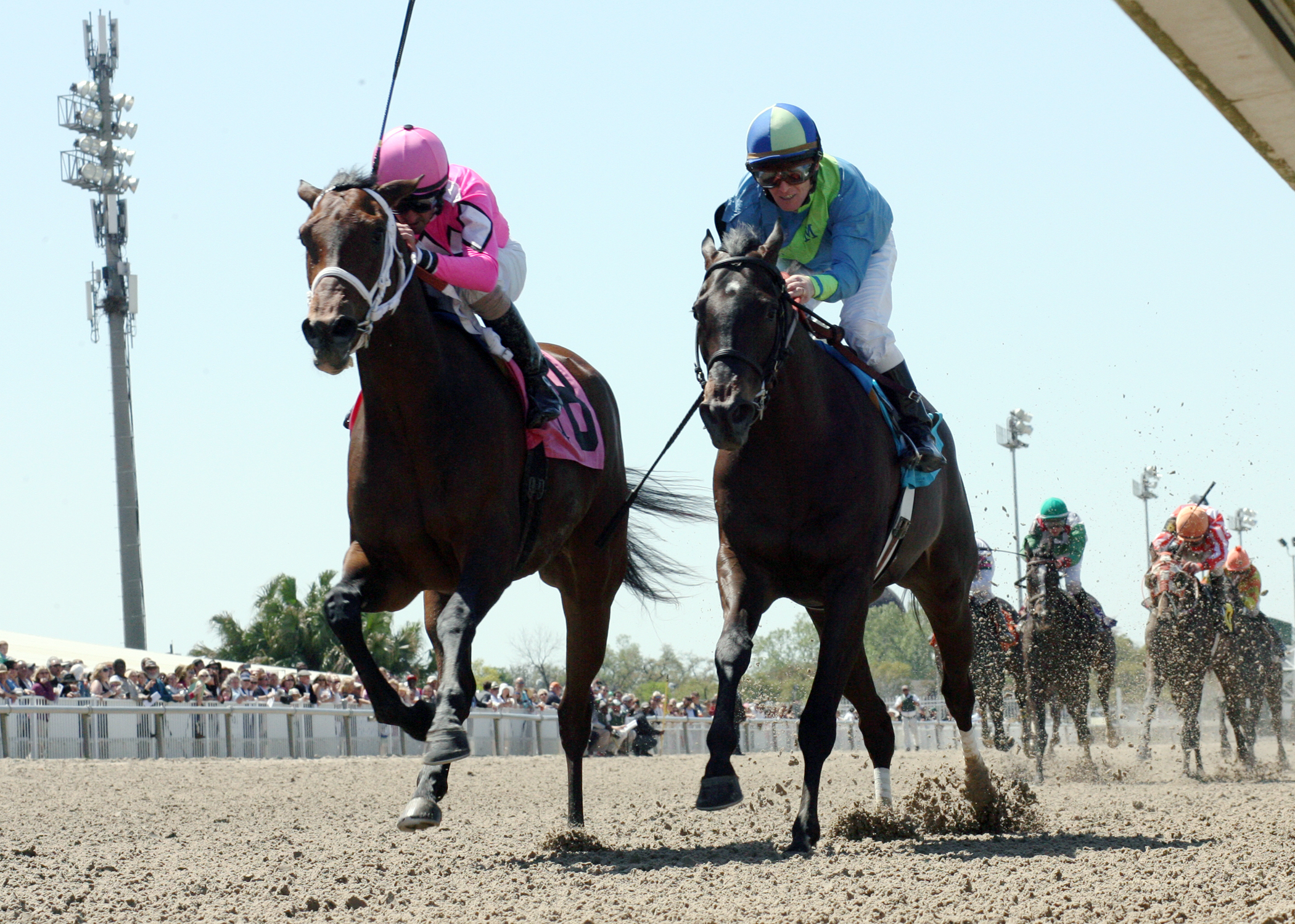 Pacific Pink wins the Crescent City Oaks