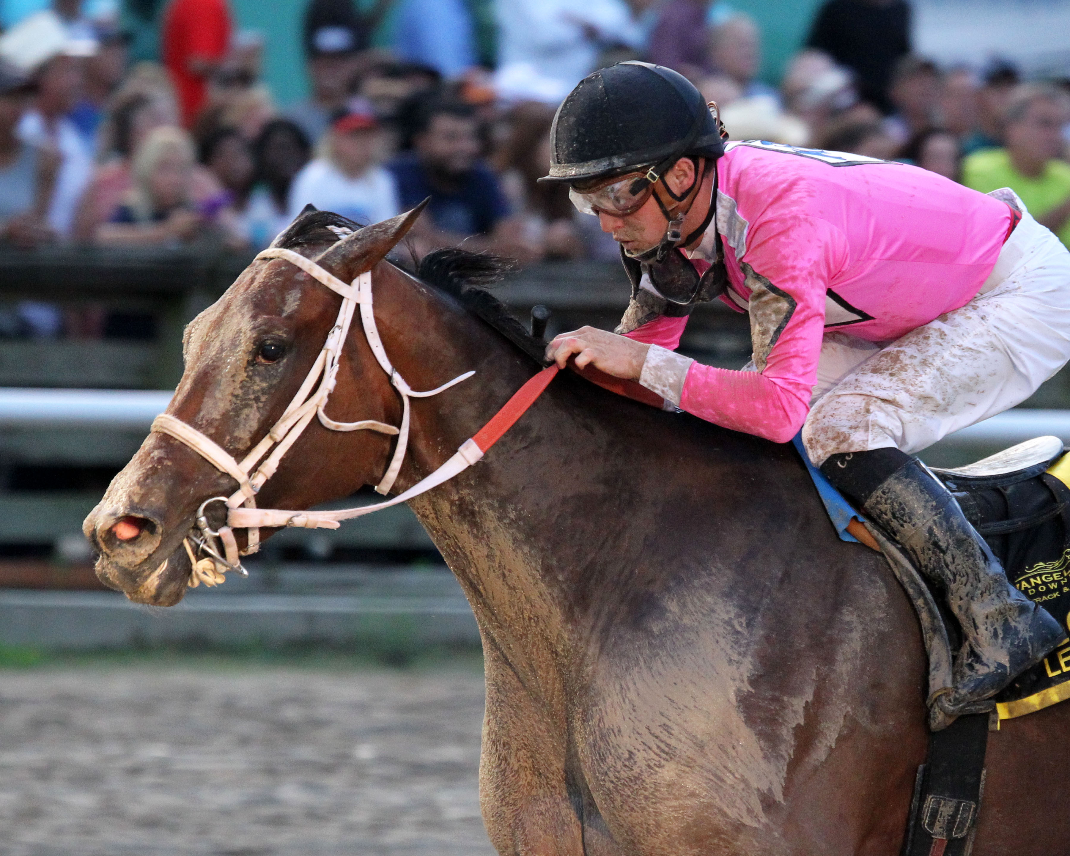 Pacific Pink wins the Louisiana Legends Soiree Stakes