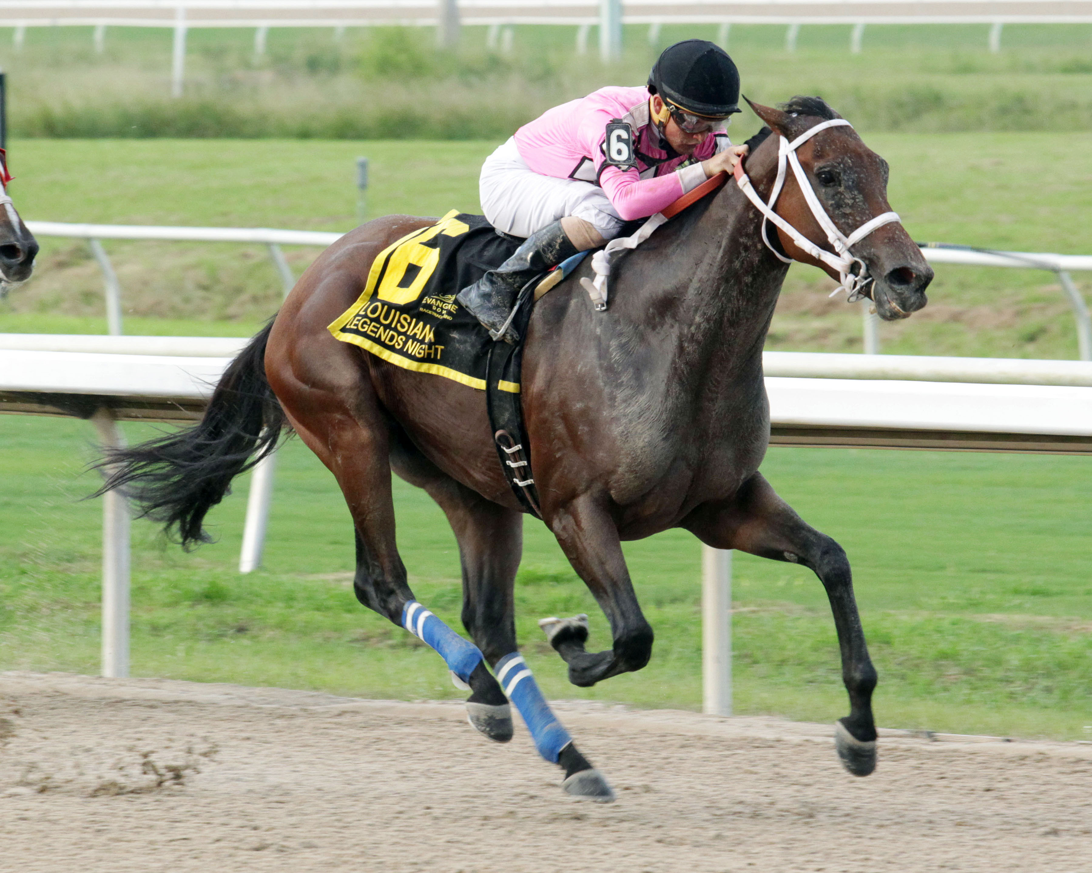 Pacific Pink wins the 2017 Louisiana Legends Distaff