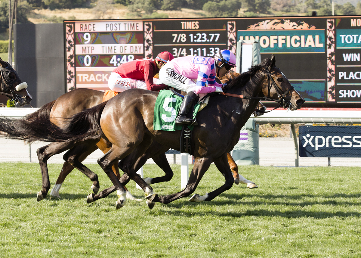 Pacific Strike wins a May 4 maiden race