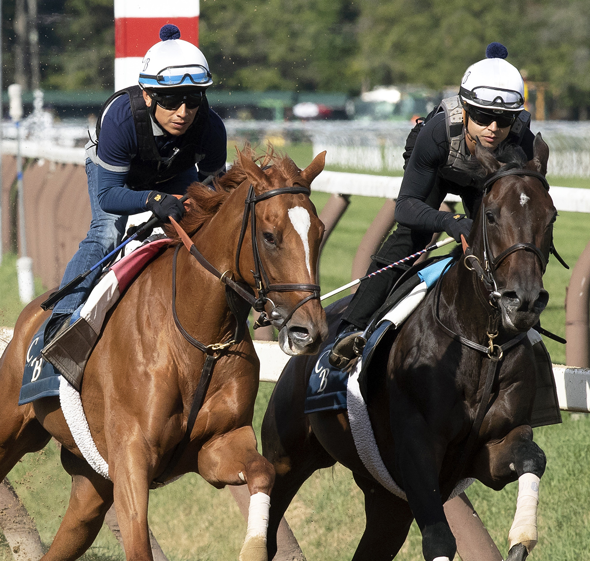 Wow Cat and Pacific Wind work on July 21
