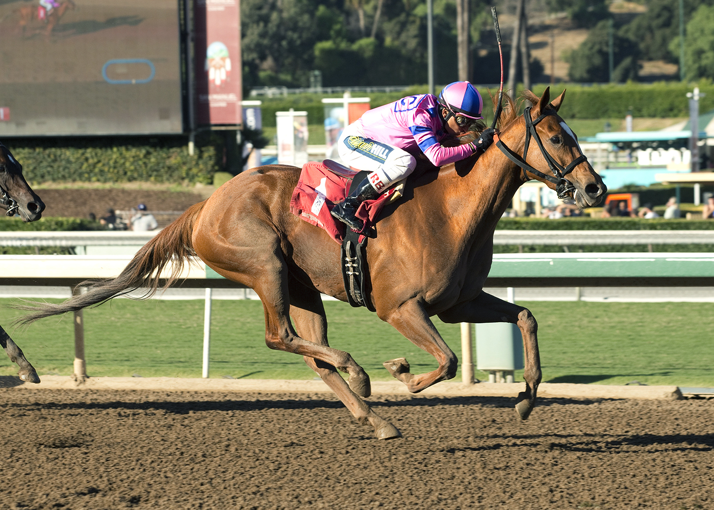 Pacific Wind wins an Oct. 21 optional claimer