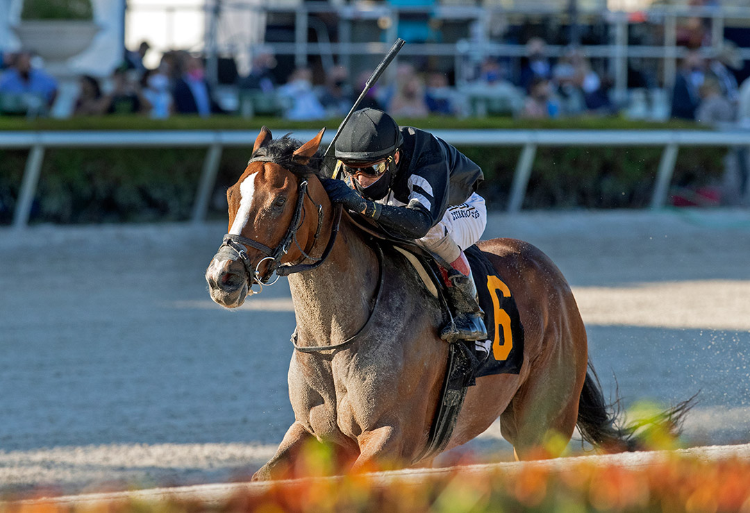 Pacific Gale wins the 2021 Inside Information Stakes at Gulfstream