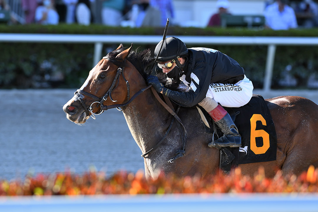 Pacific Gale wins the 2021 Inside Information Stakes at Gulfstream Park