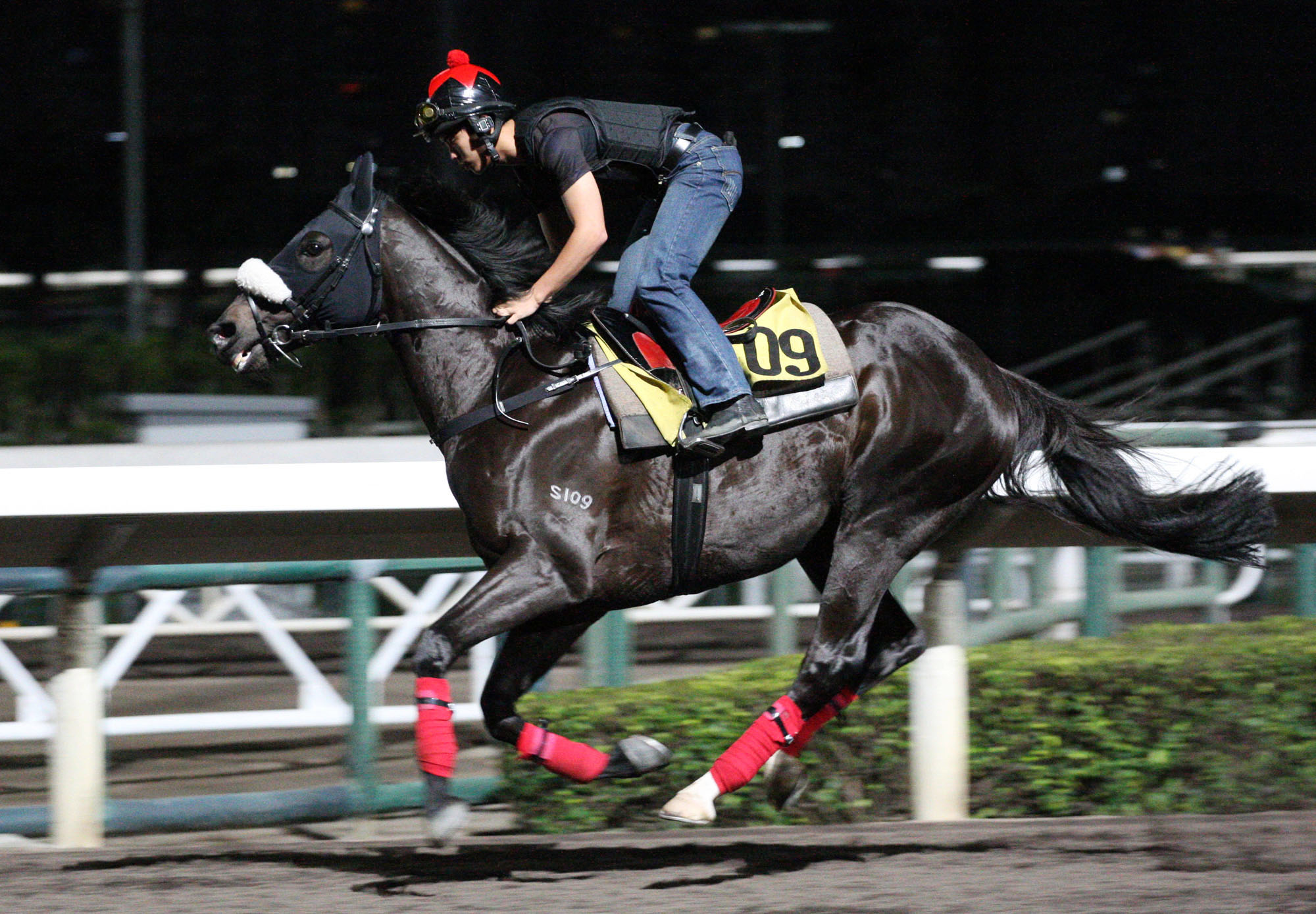 Packing Llaregyb trains at Sha Tin in April 2015