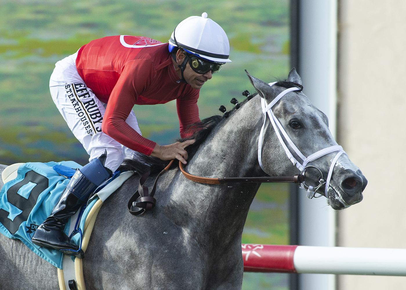 Packs a Wahlop wins Del Mar Juvenile Turf 9-11-2022