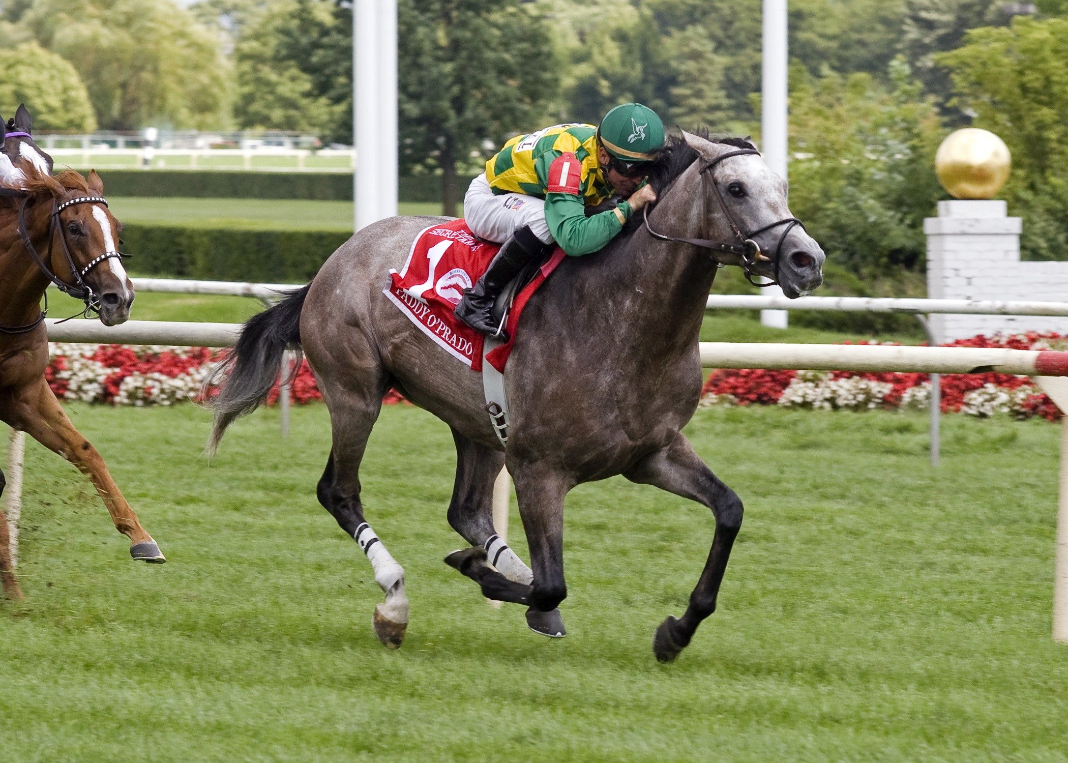 Paddy O'Prado - Eclipse Awards