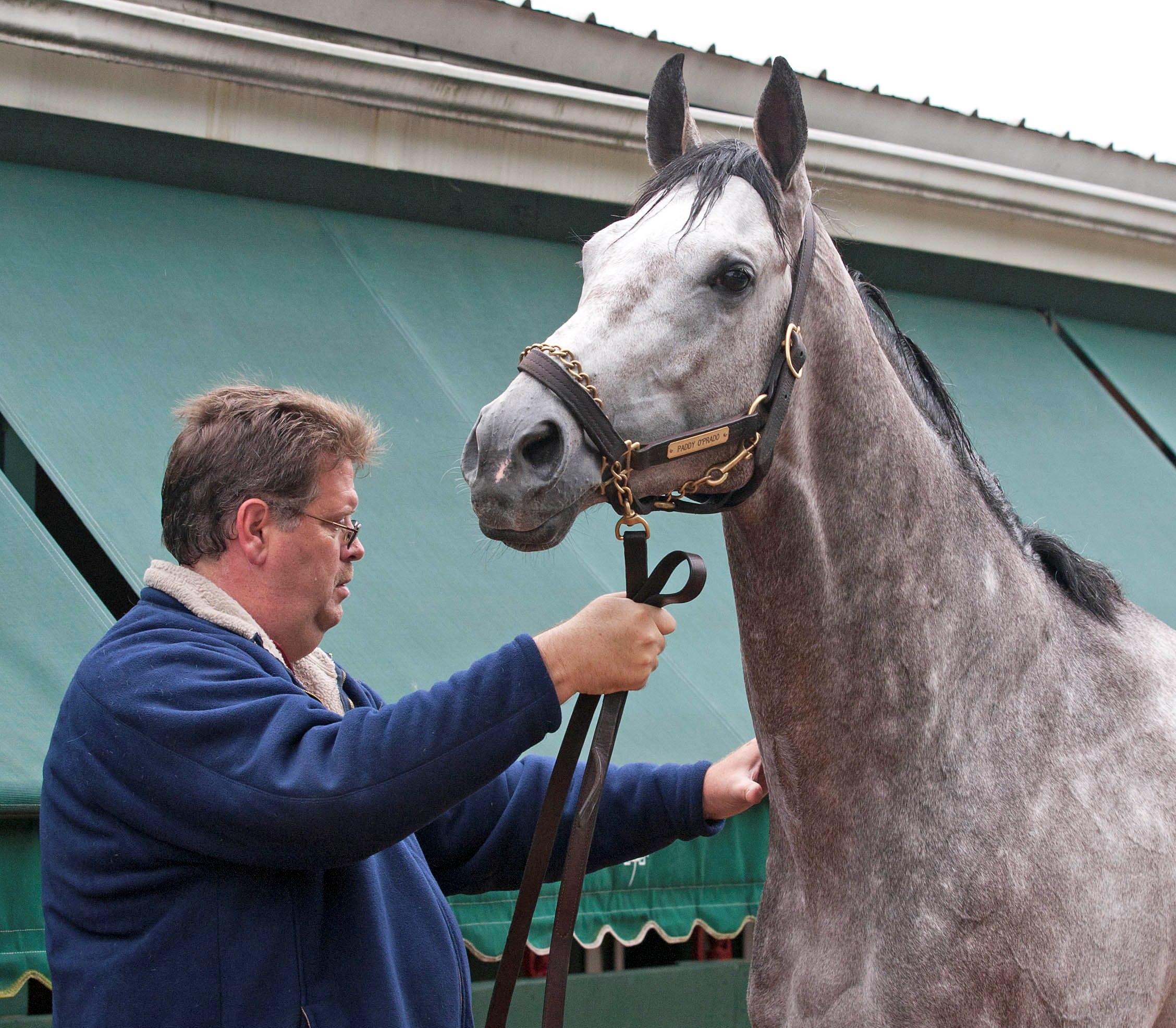 Paddy O'Prado, Dale Romans, May 19, 2011