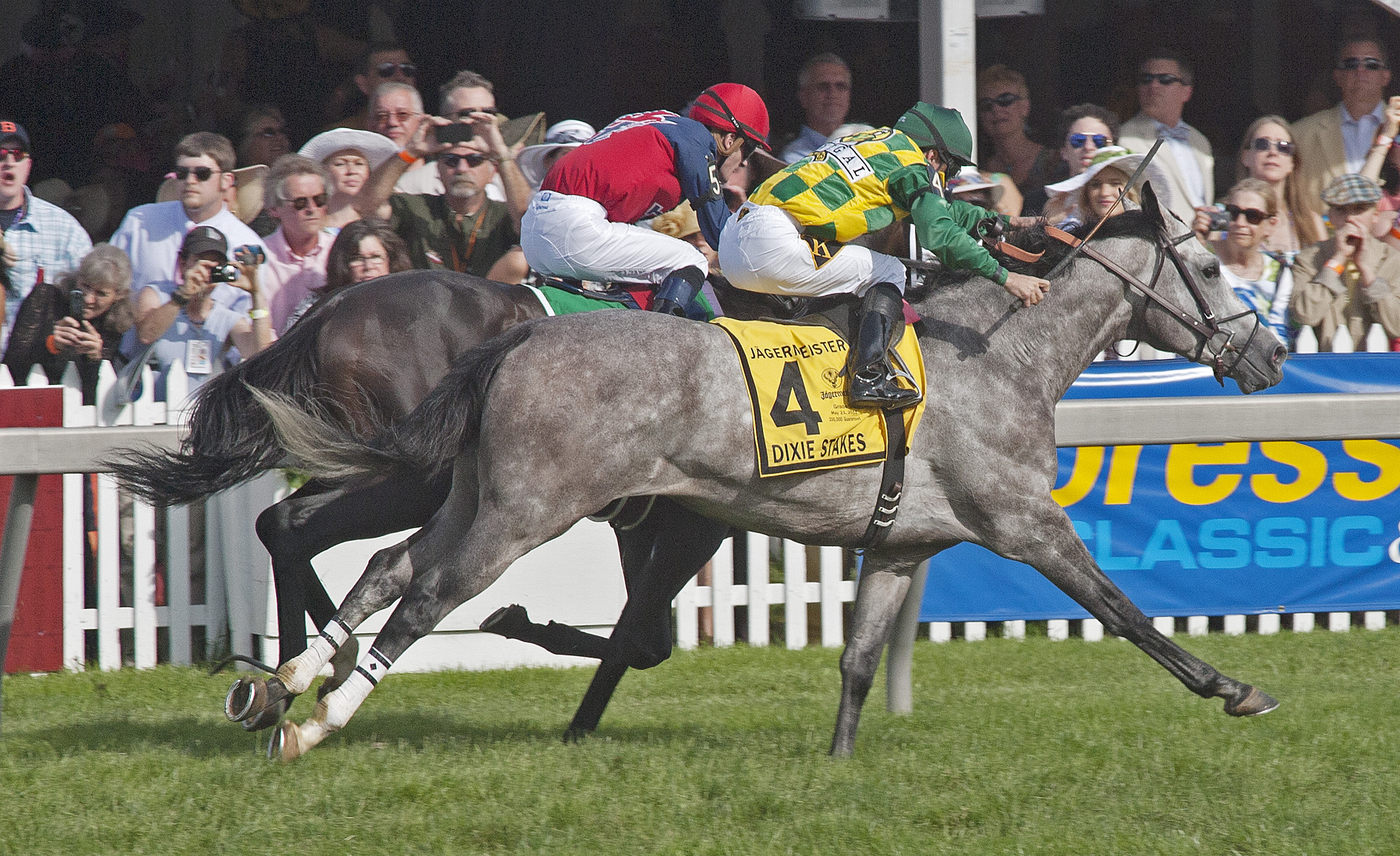 Paddy O'Prado/Dixie