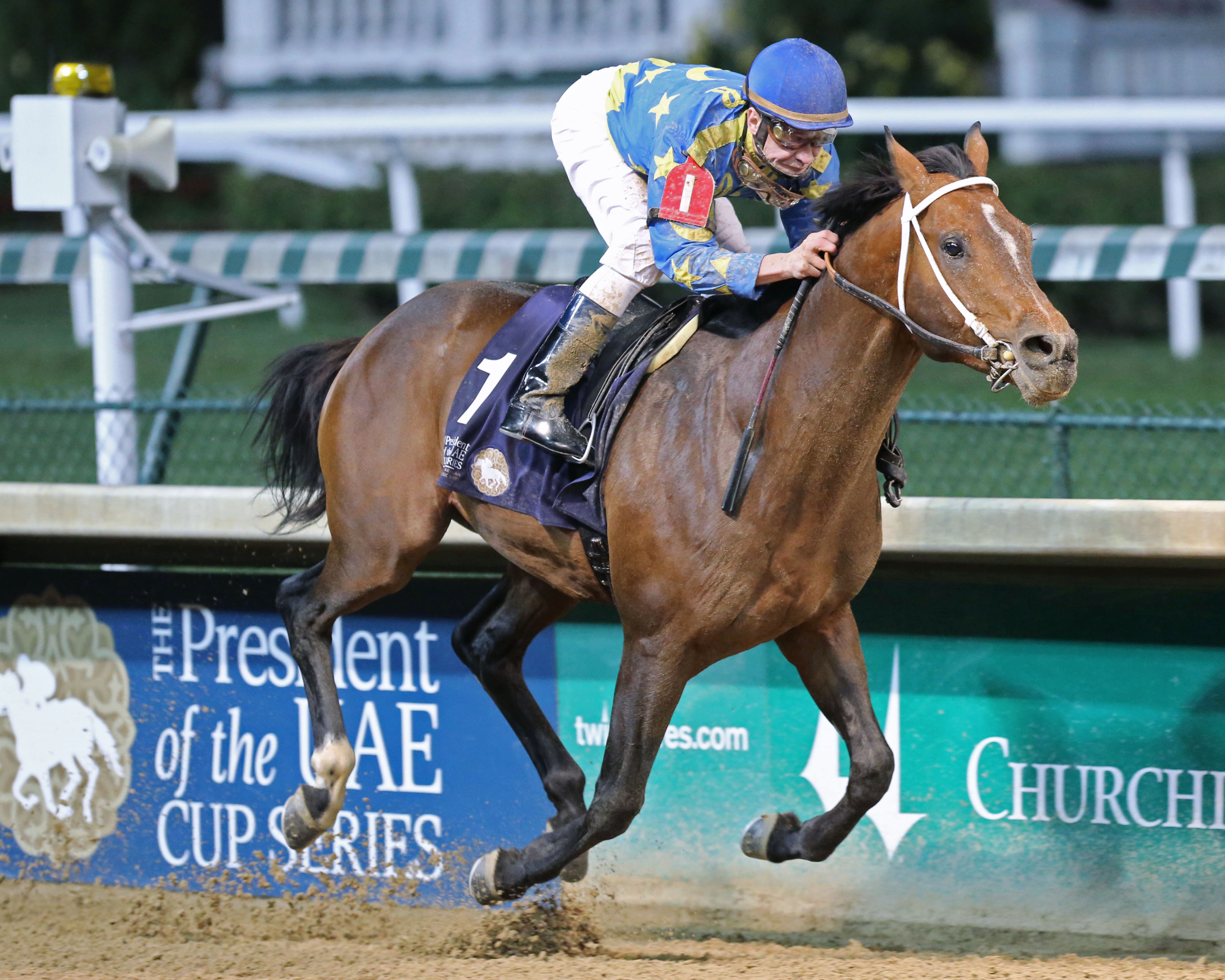 Paddys Day wins the President of the United Arab Emirates Cup