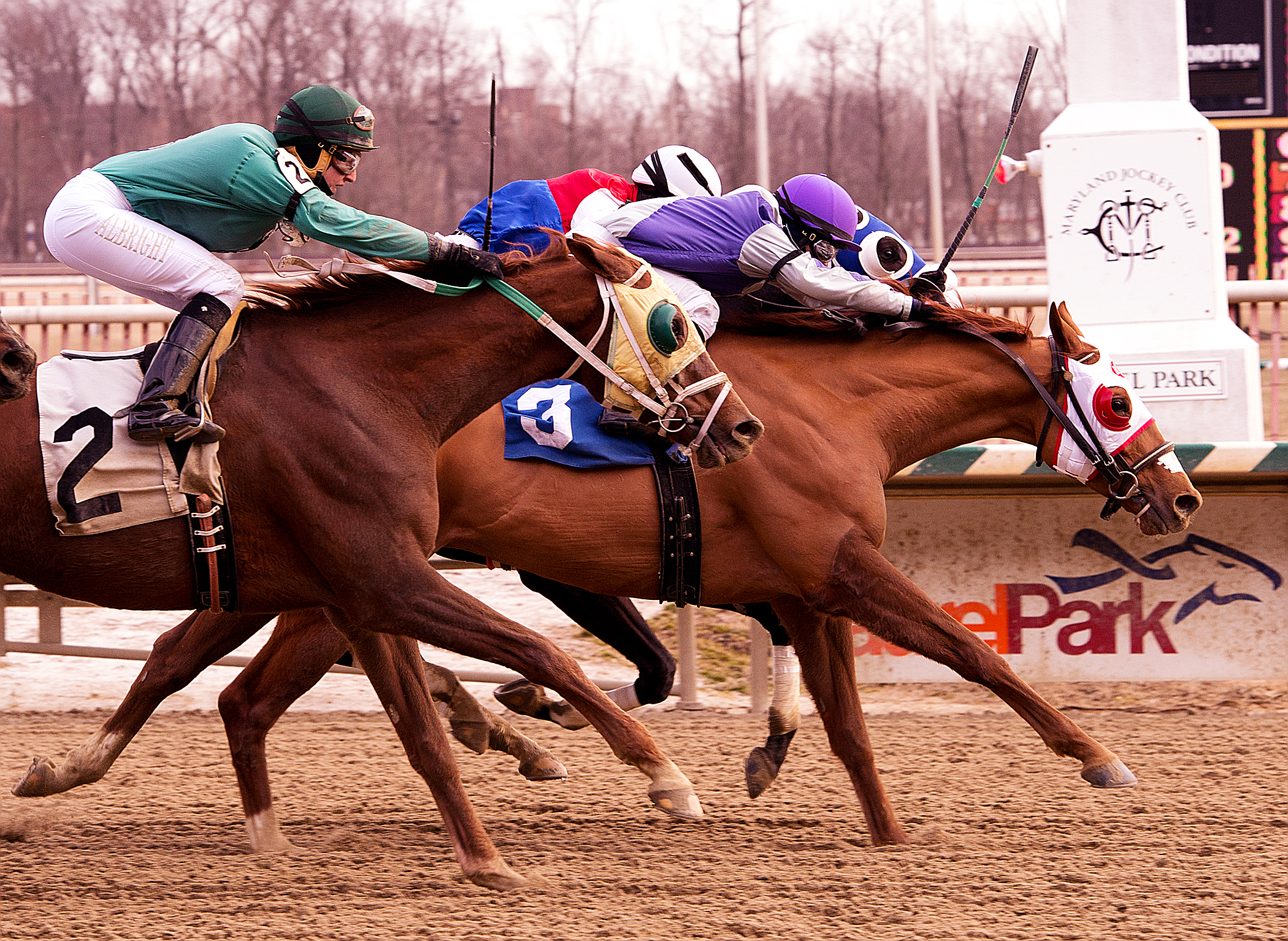 Page McKenney wins 2015 Campbell Handicap