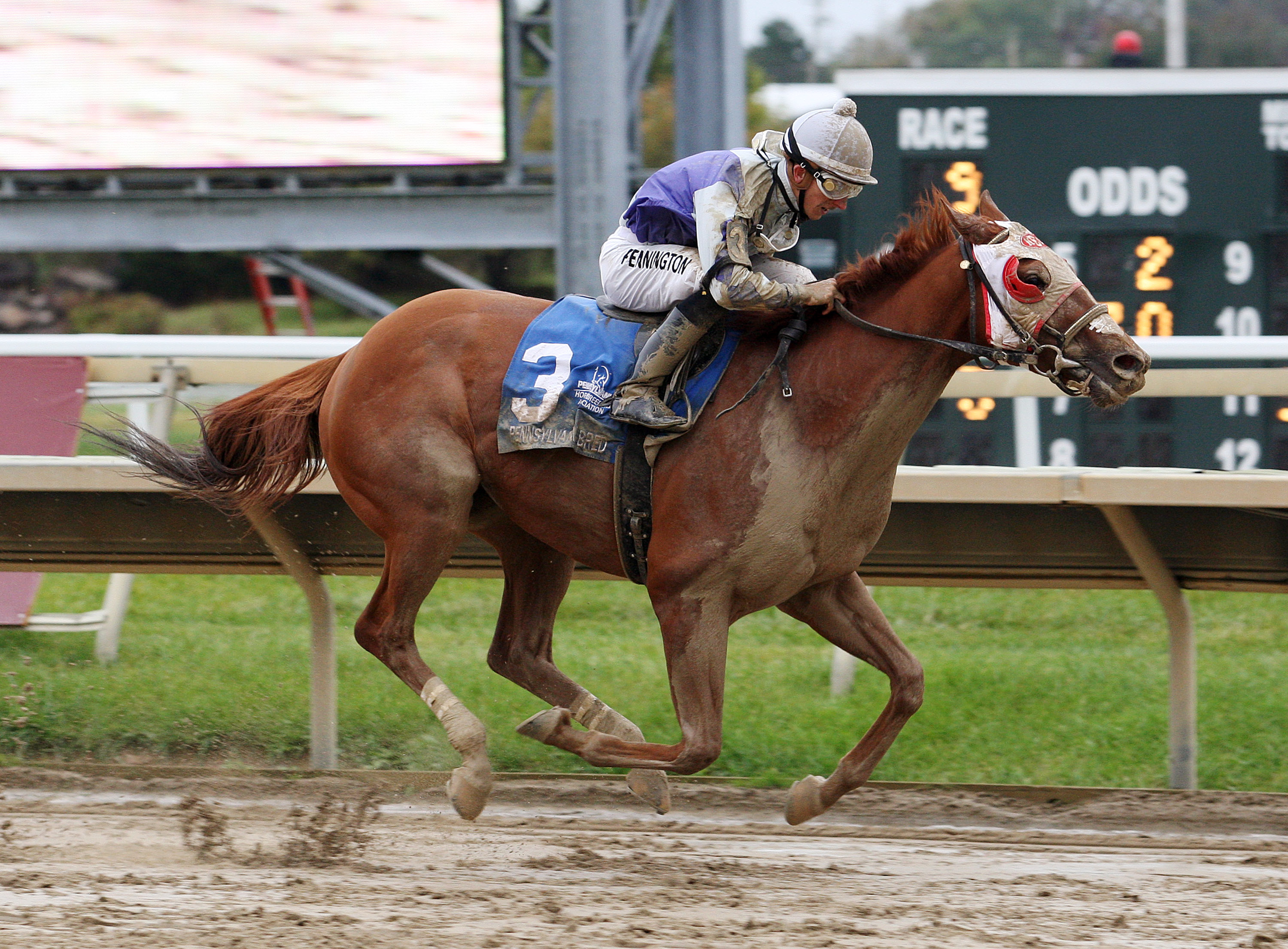 Page McKenney 10-11-2014