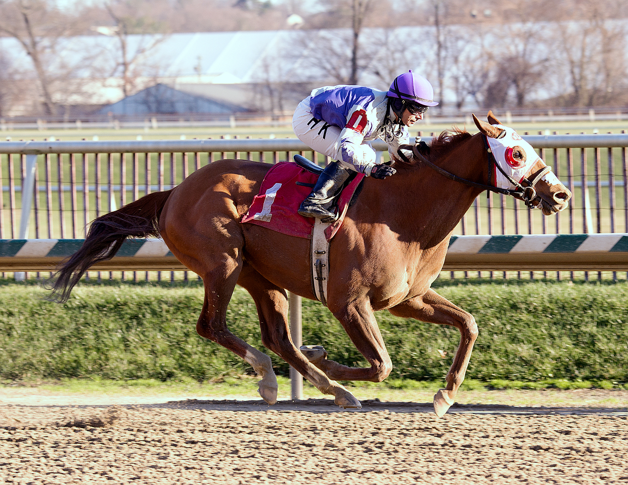 Page McKenney wins the Native Dancer