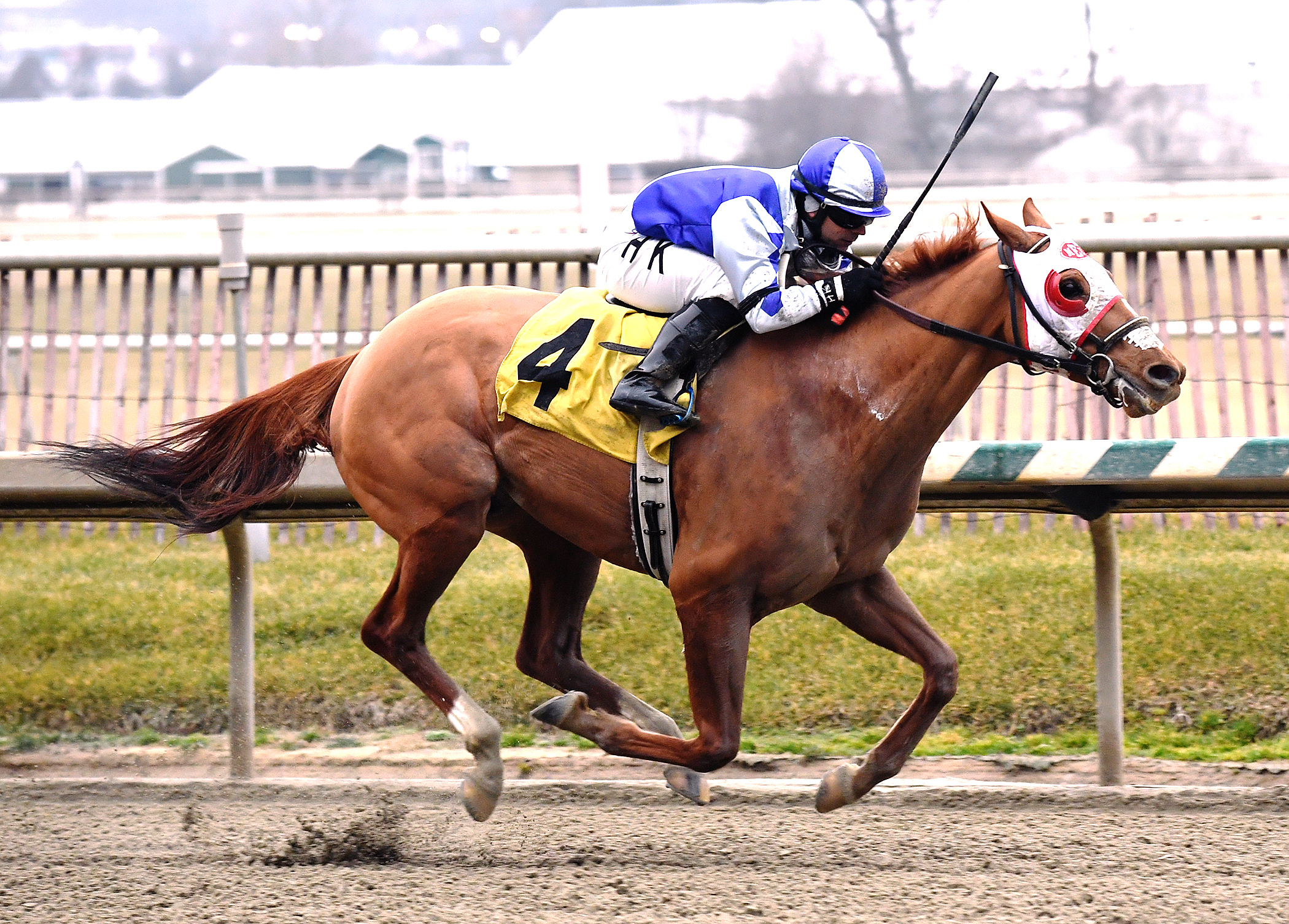 Page McKenney wins the Native Dancer Stakes