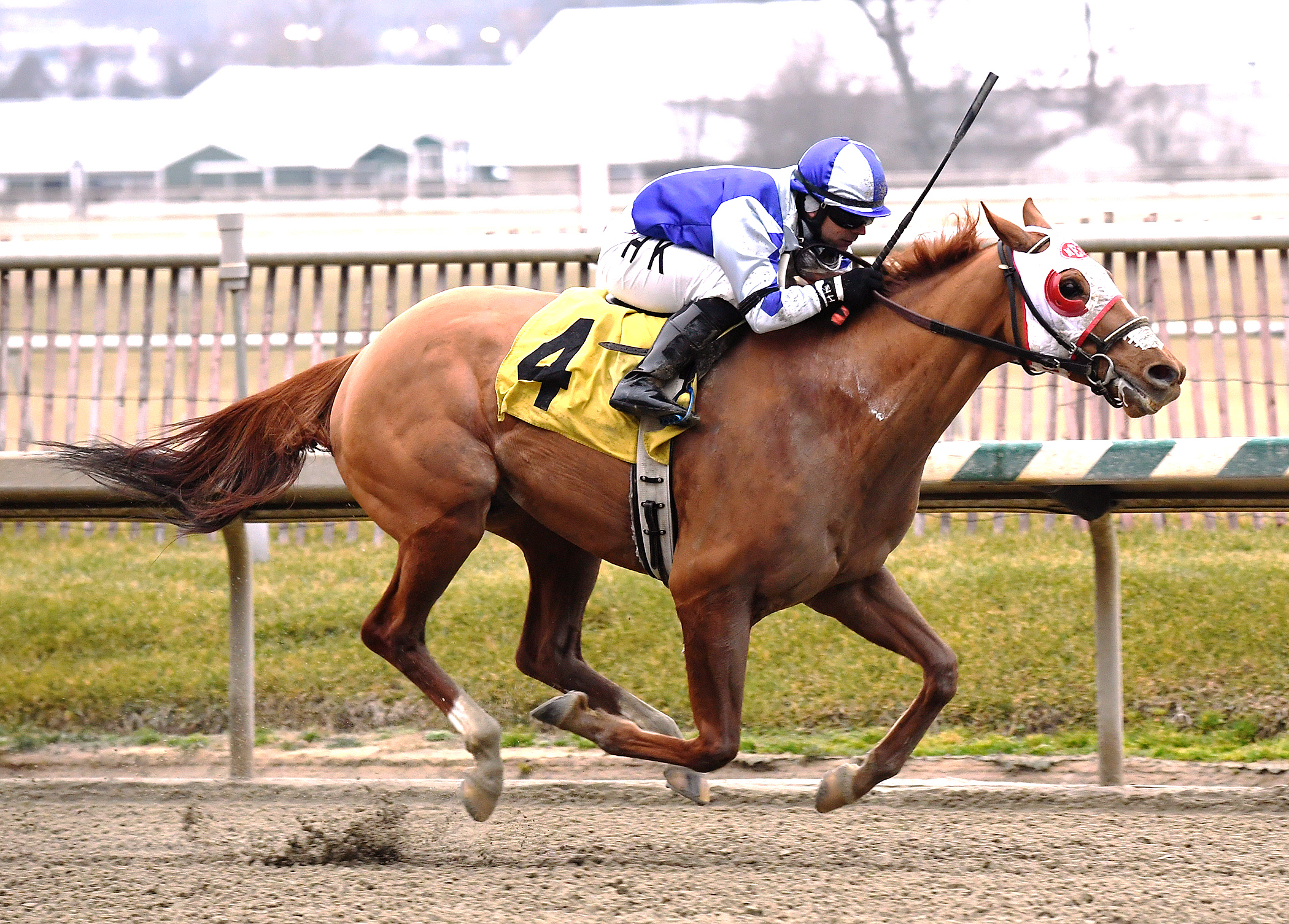 Page McKenney wins the Native Dancer Stakes
