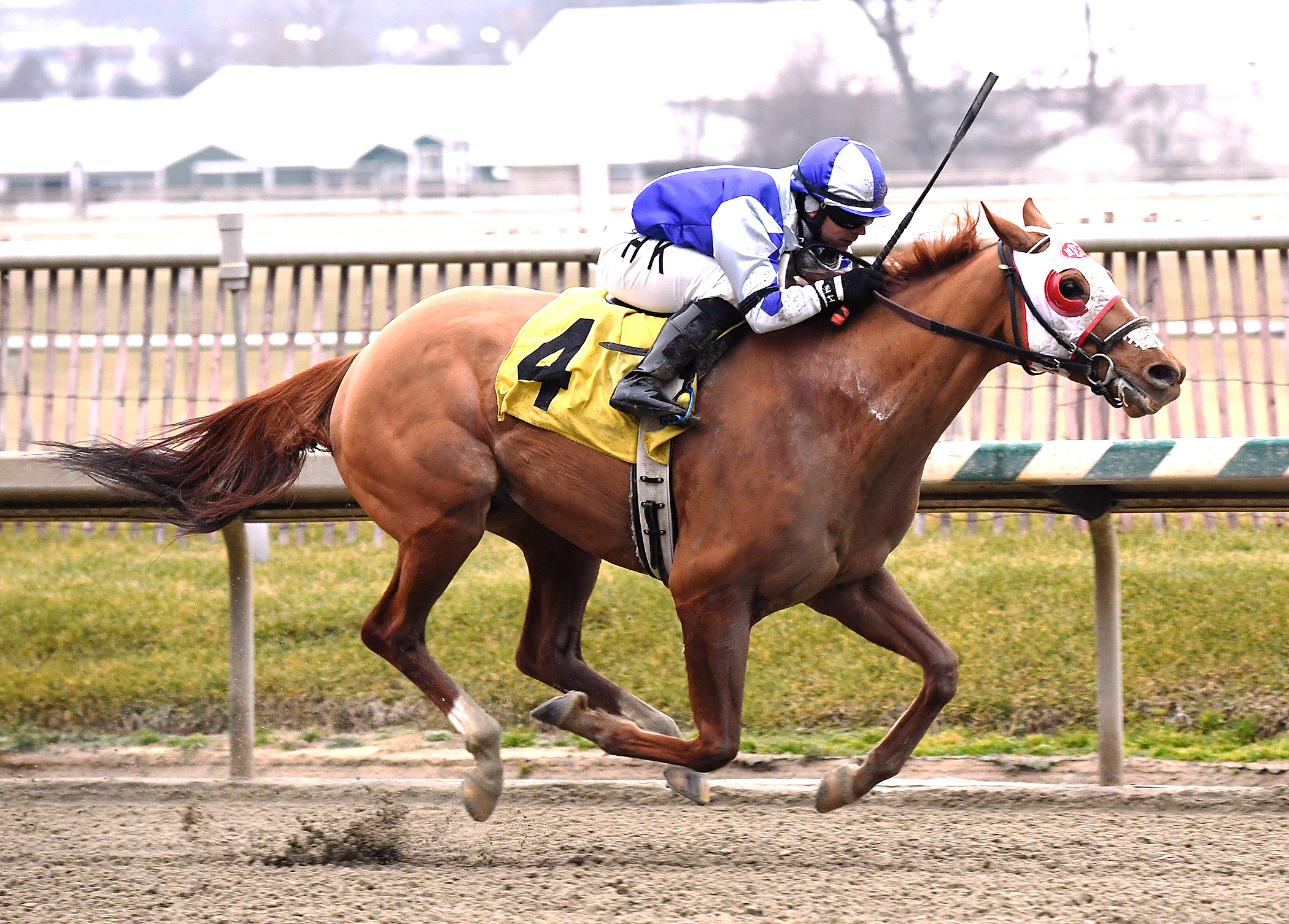 Page McKenney wins the Native Dancer Stakes