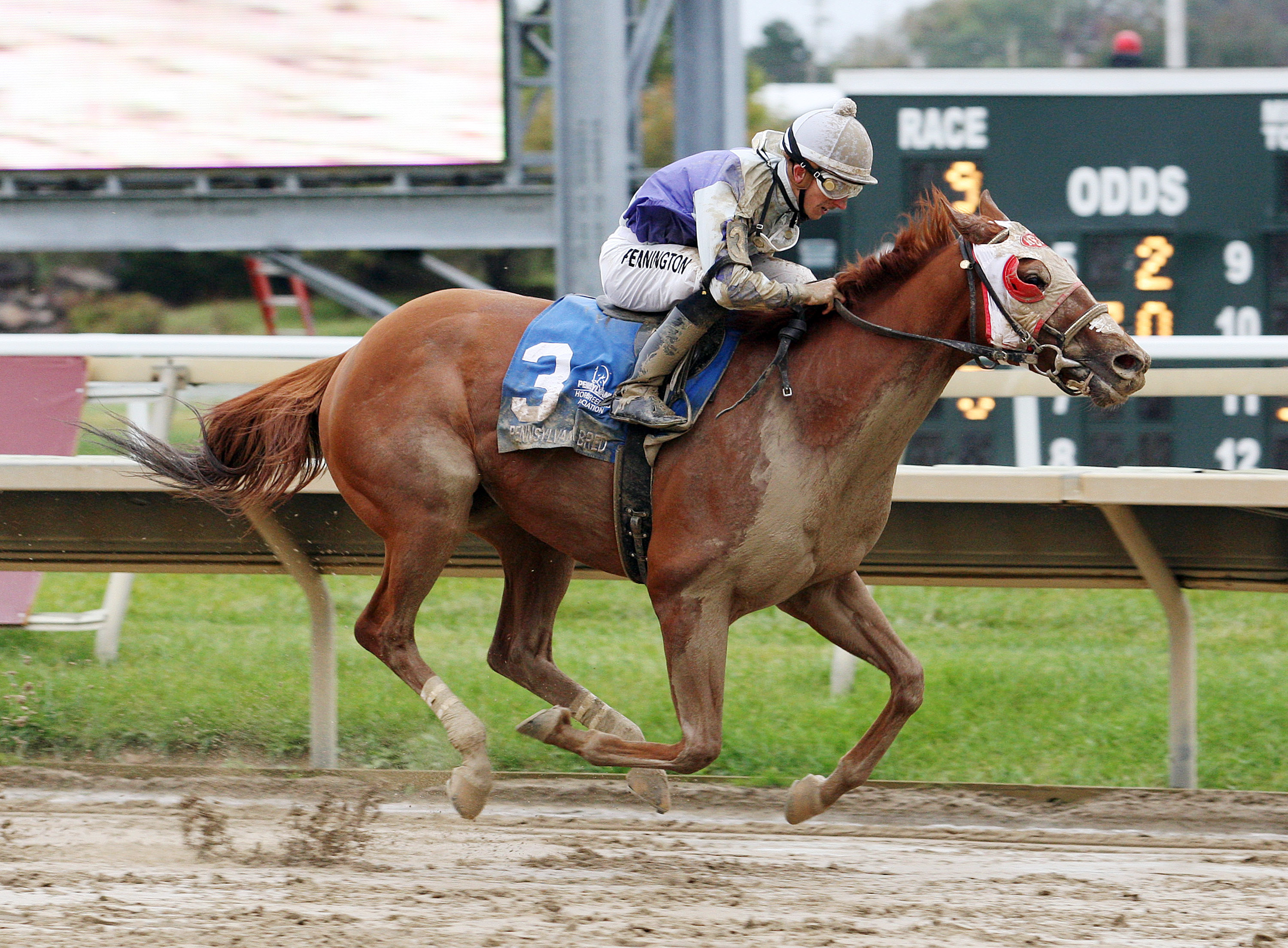 Page McKenney wins the First Responder Stakes