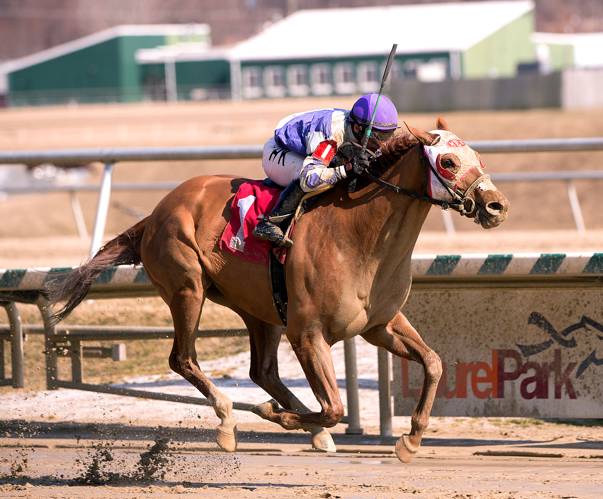 Page McKenney wins the Harrison E. Johnson Memorial Stakes