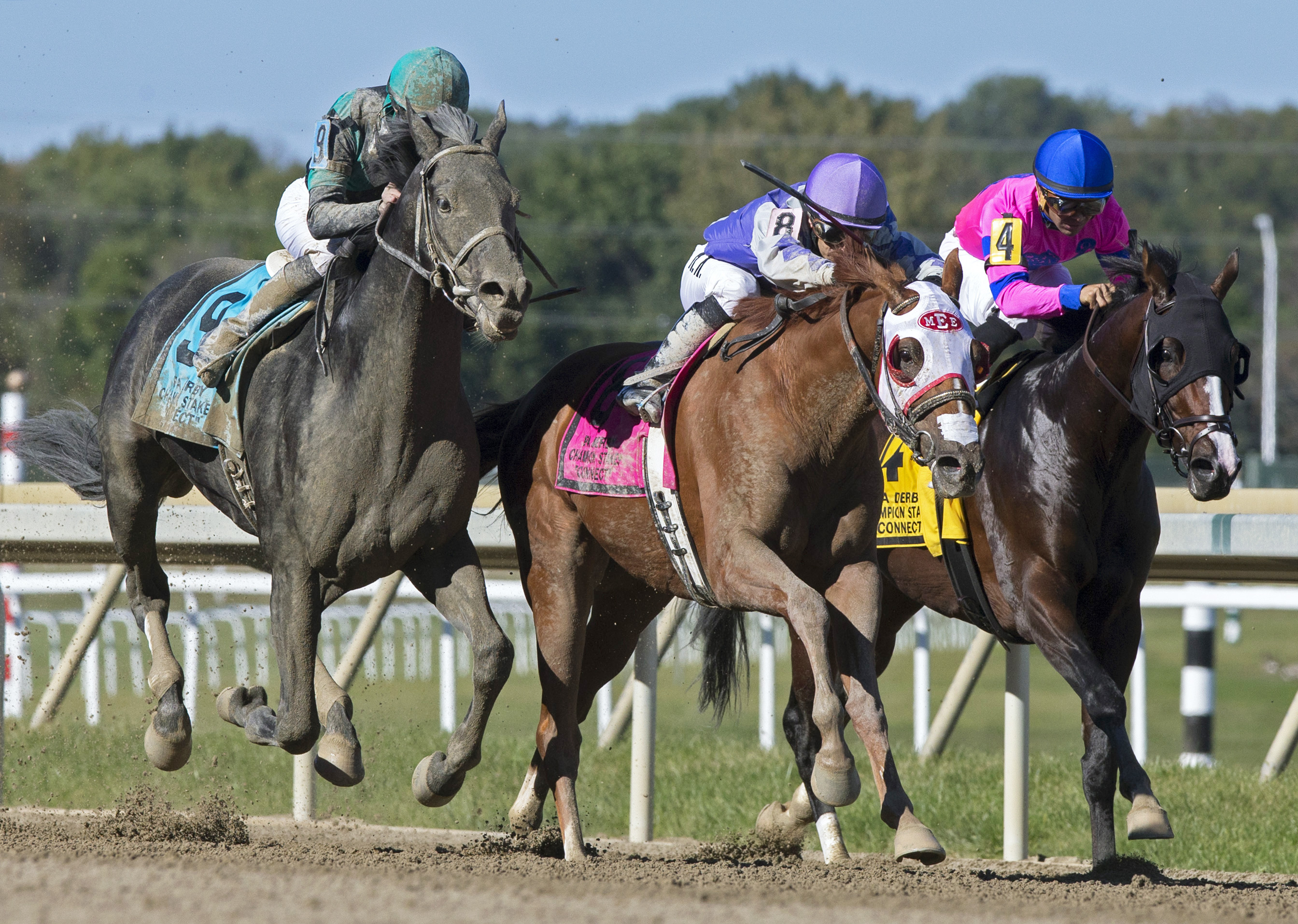 Page McKenney wins the 2017 Pennsylvania Derby Champion Stakes