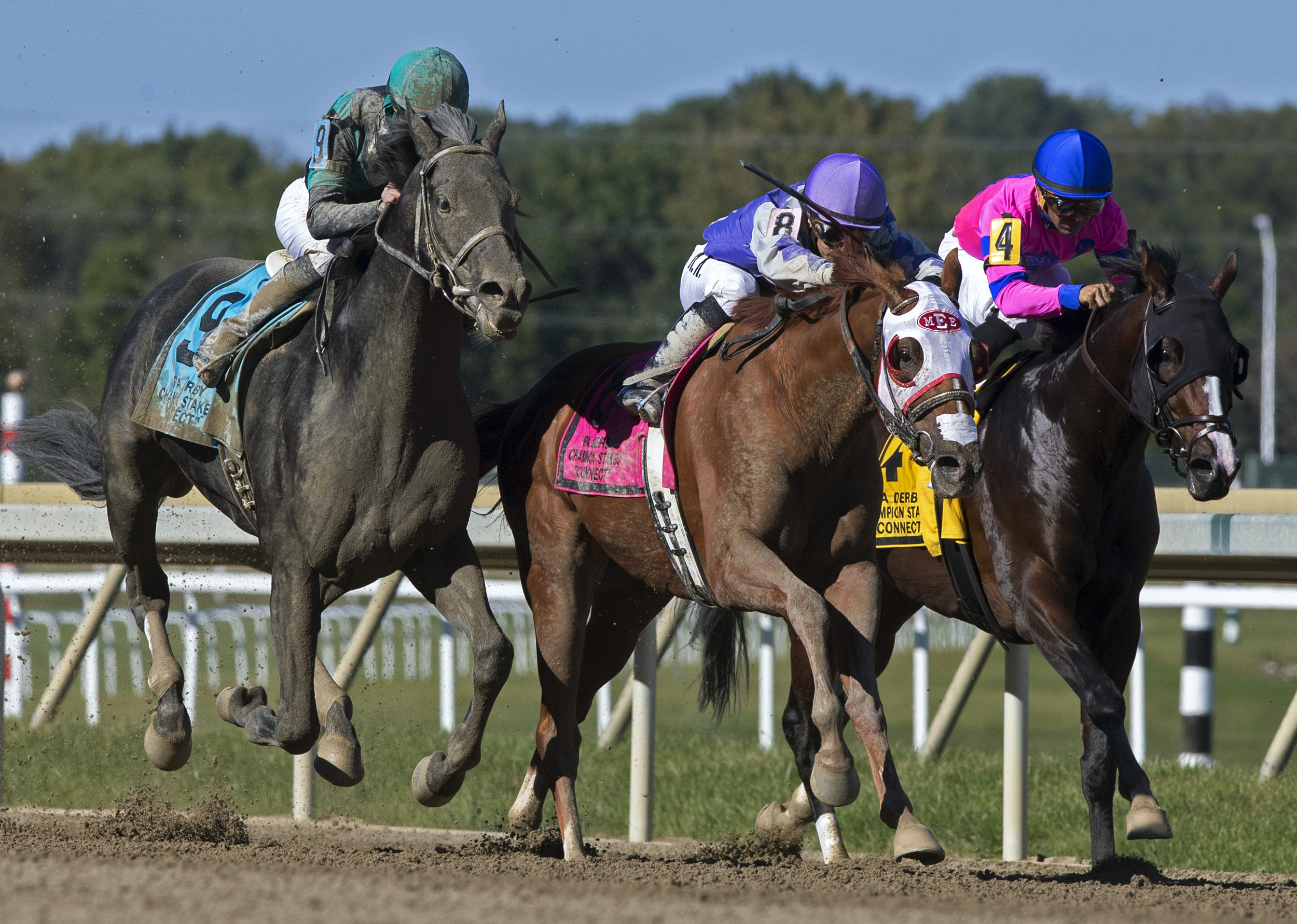 Page McKenney wins the 2017 PA Derby Champion Stakes