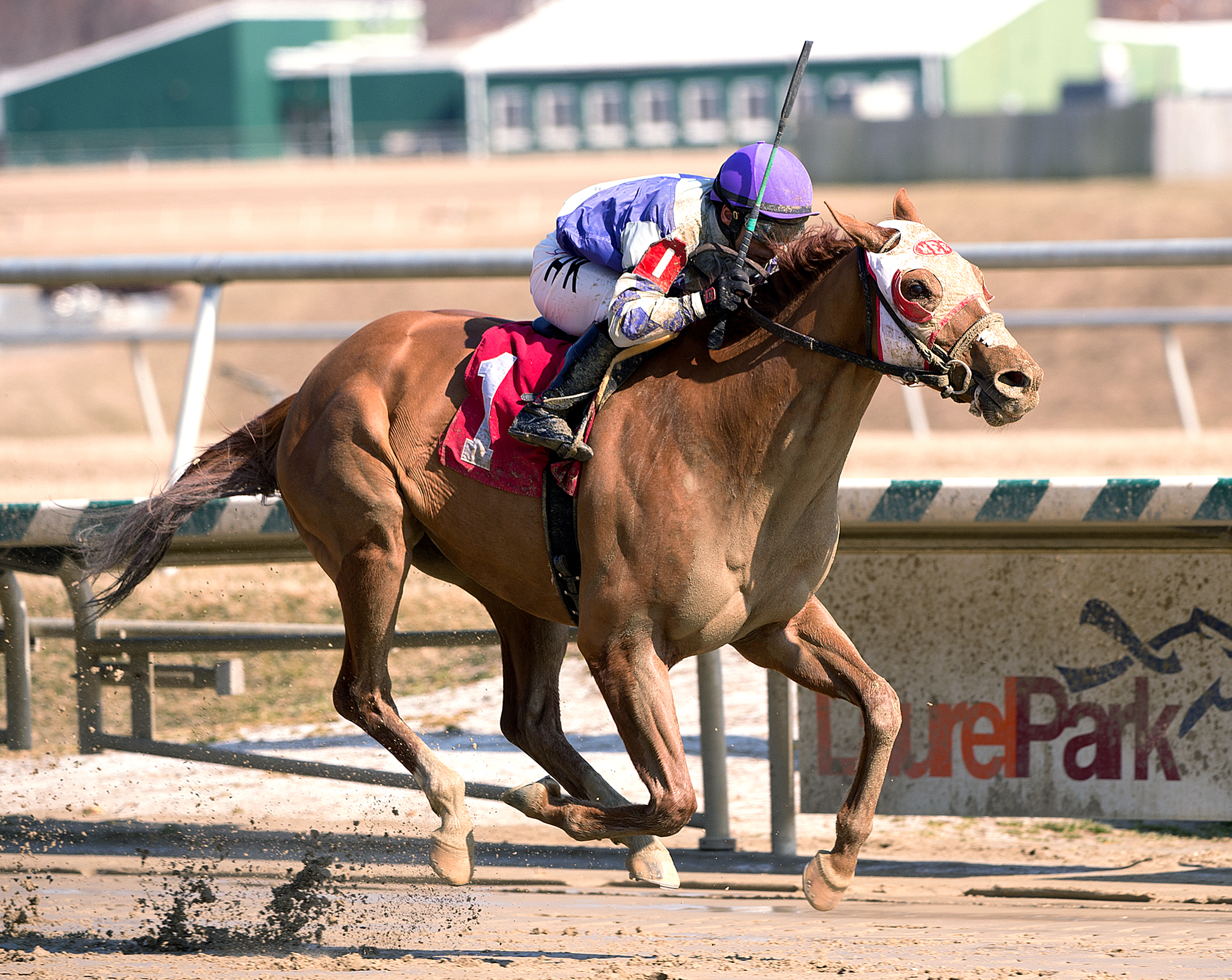 Laurel: Page McKenney eyes Pimlico Special