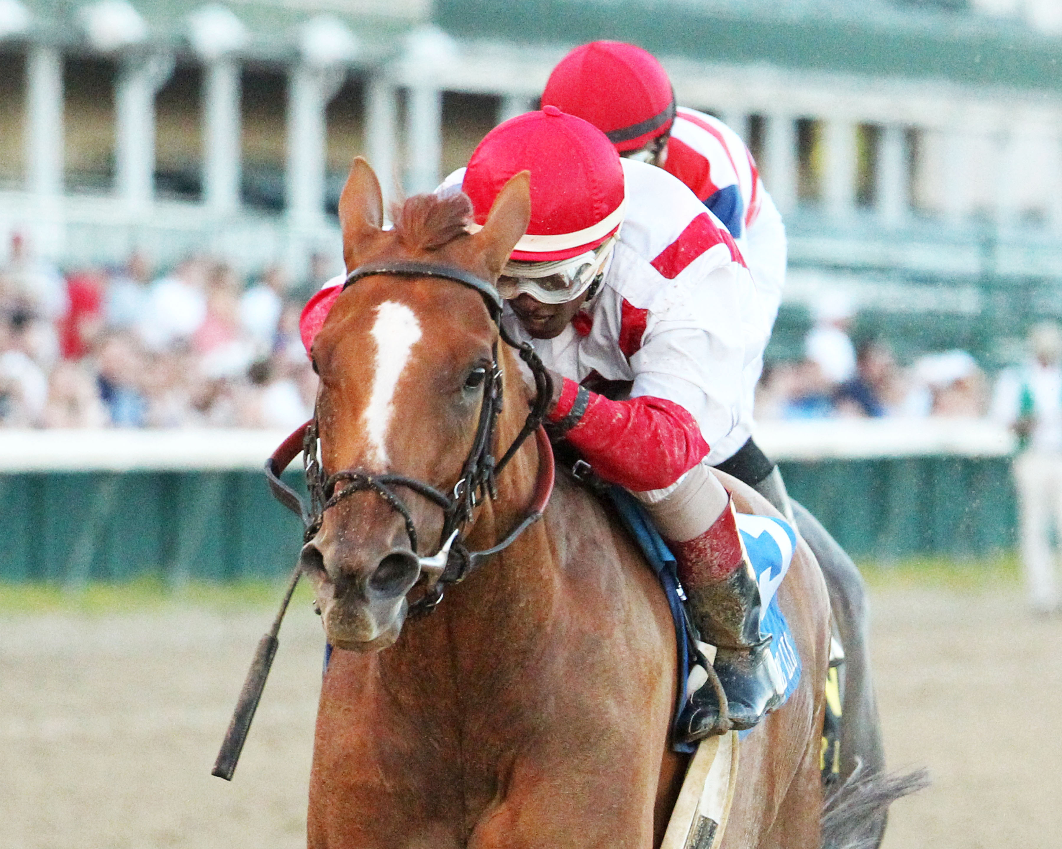 Paid Up Subscriber wins the Fleur de Lis